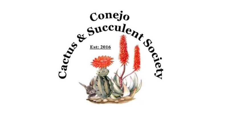 Conejo CSS – Fall Sale 2026