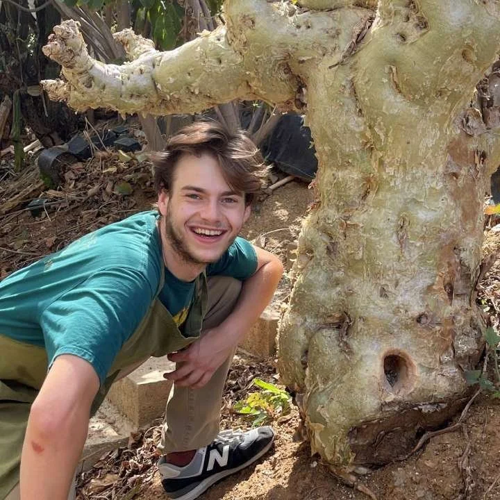 Eli Cohen Profile Image