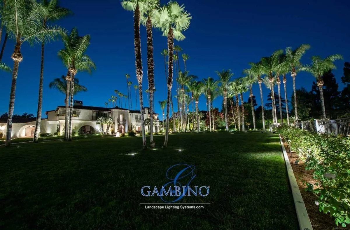 Untitled image(1).jpg