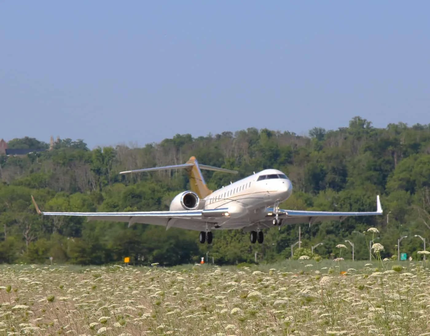 A white private jet with a gold accent flying low over a field with white flowers and green trees in the background.