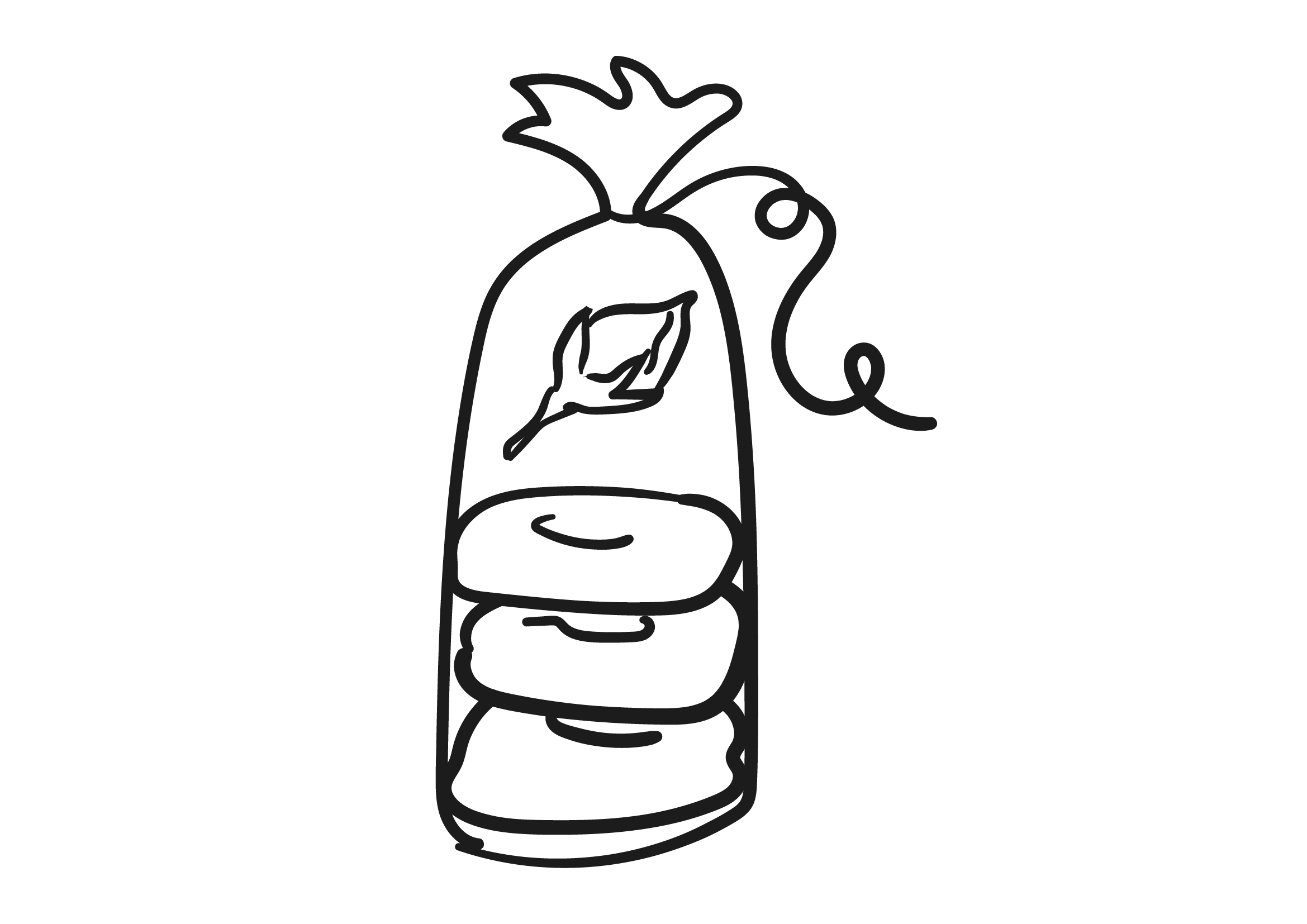 01_illustration_dolly2.png