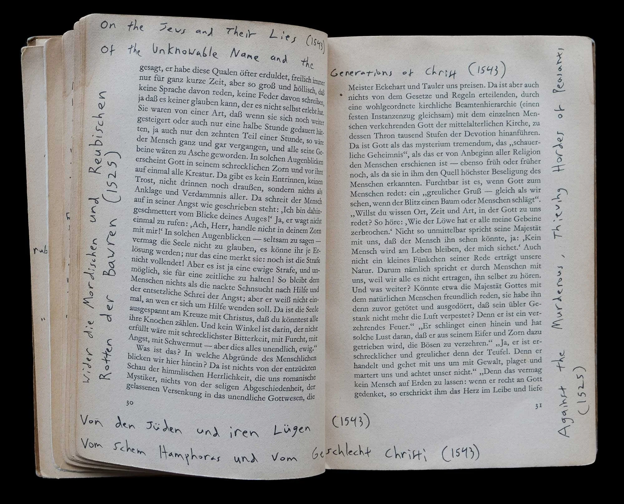 Luther-des-Zyklus-On-the-Jews-and-Their-Lies-1543.jpg