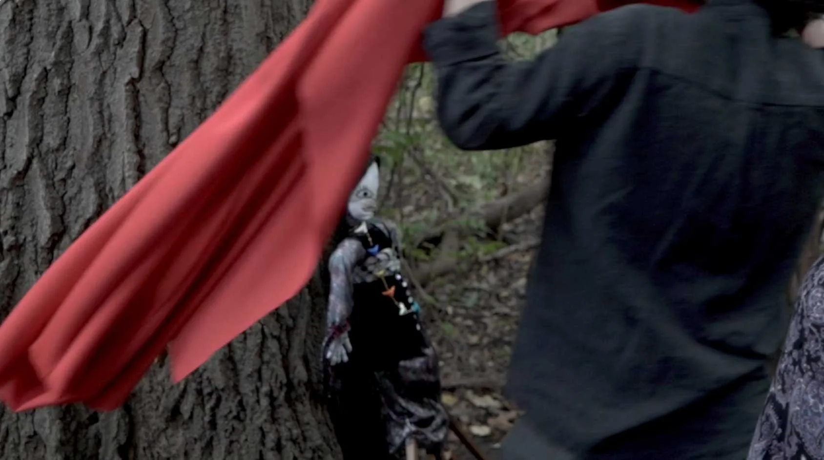 Sniderman-About-Imagined-Land.jpg