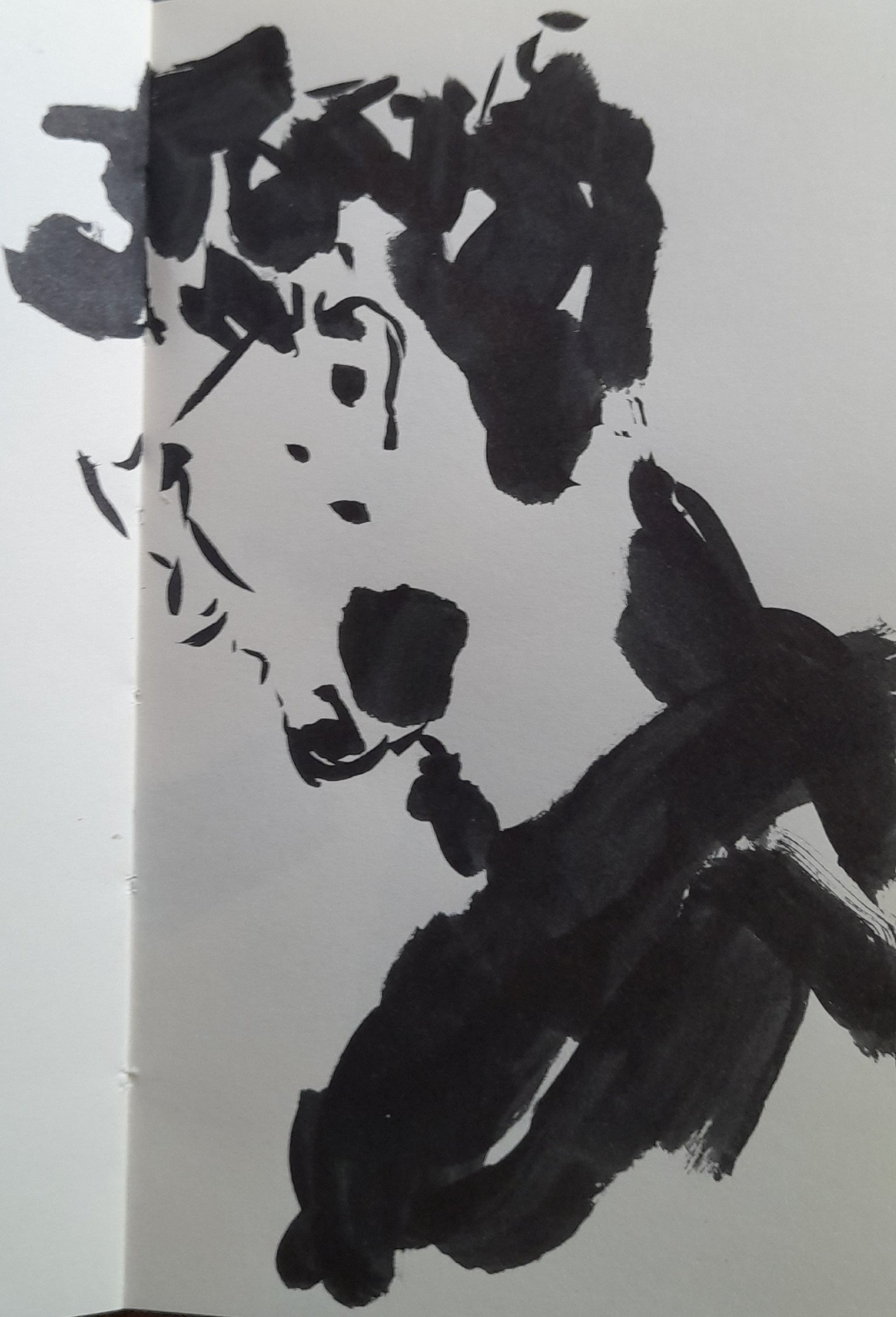 Ink sketch 02 25-05-05.jpg