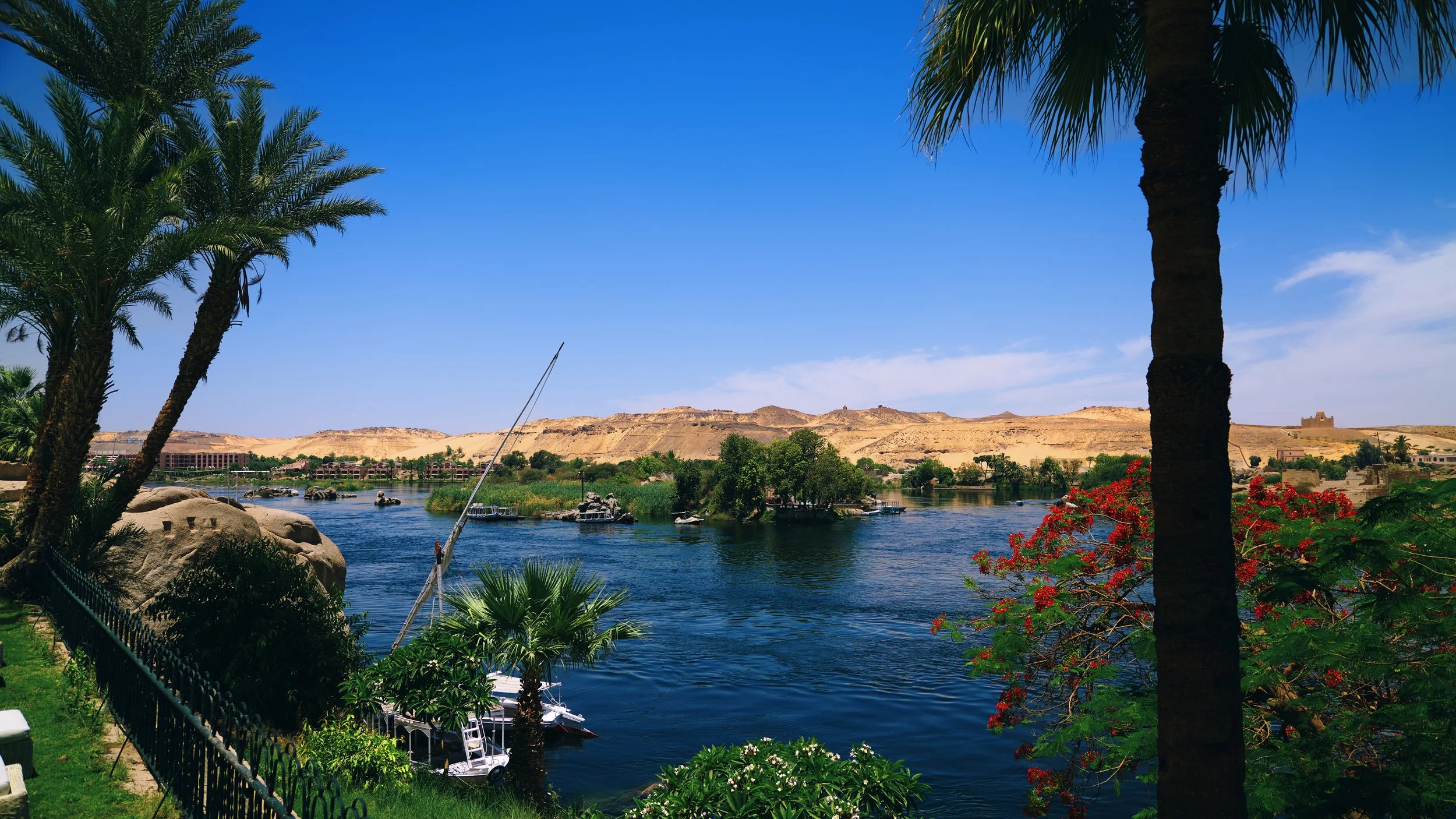 The Nile River at Aswan, flowing calmly between golden desert banks and lush green islands
