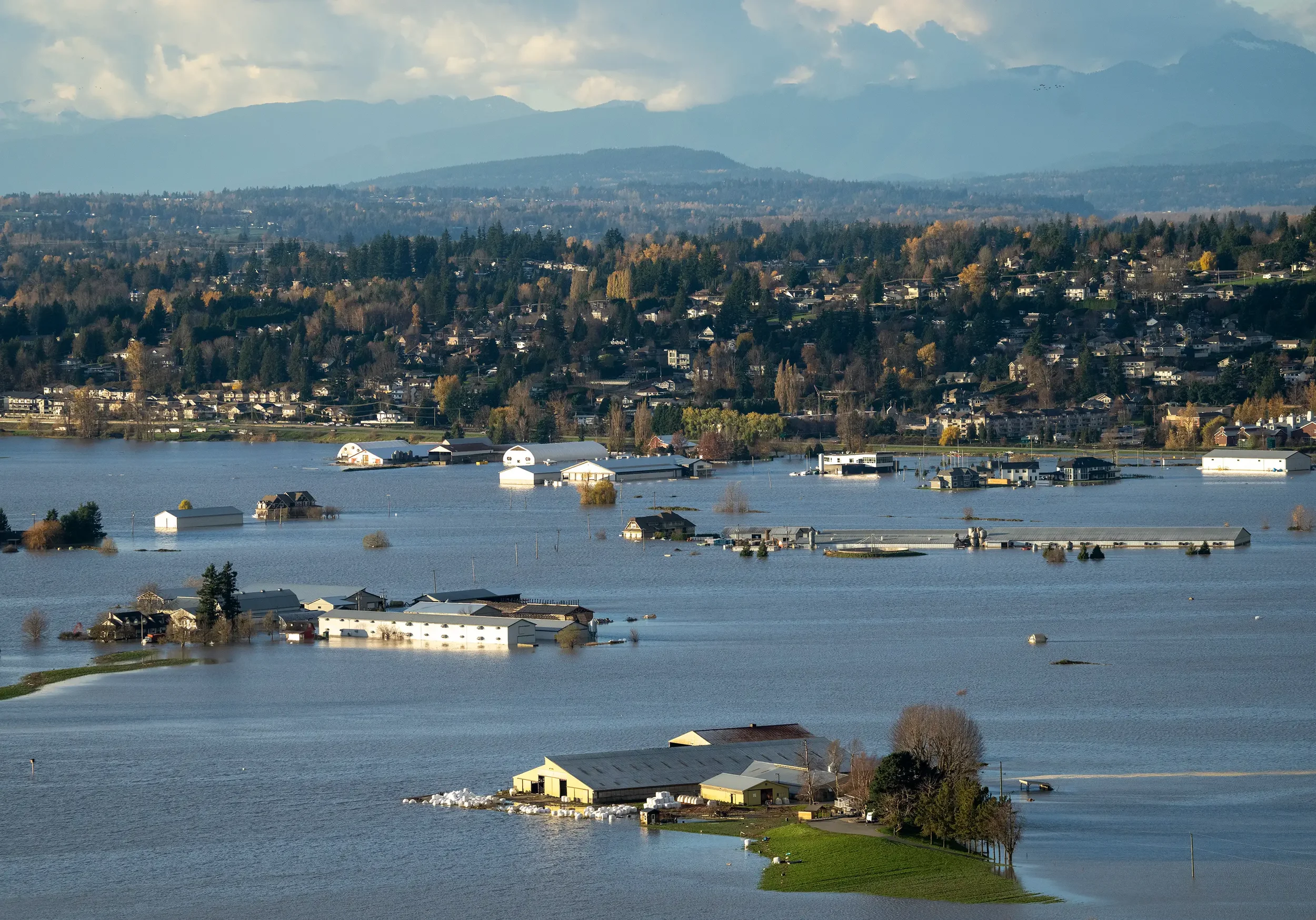 Heavy rains and flooding in BC: Practical steps to take during storms