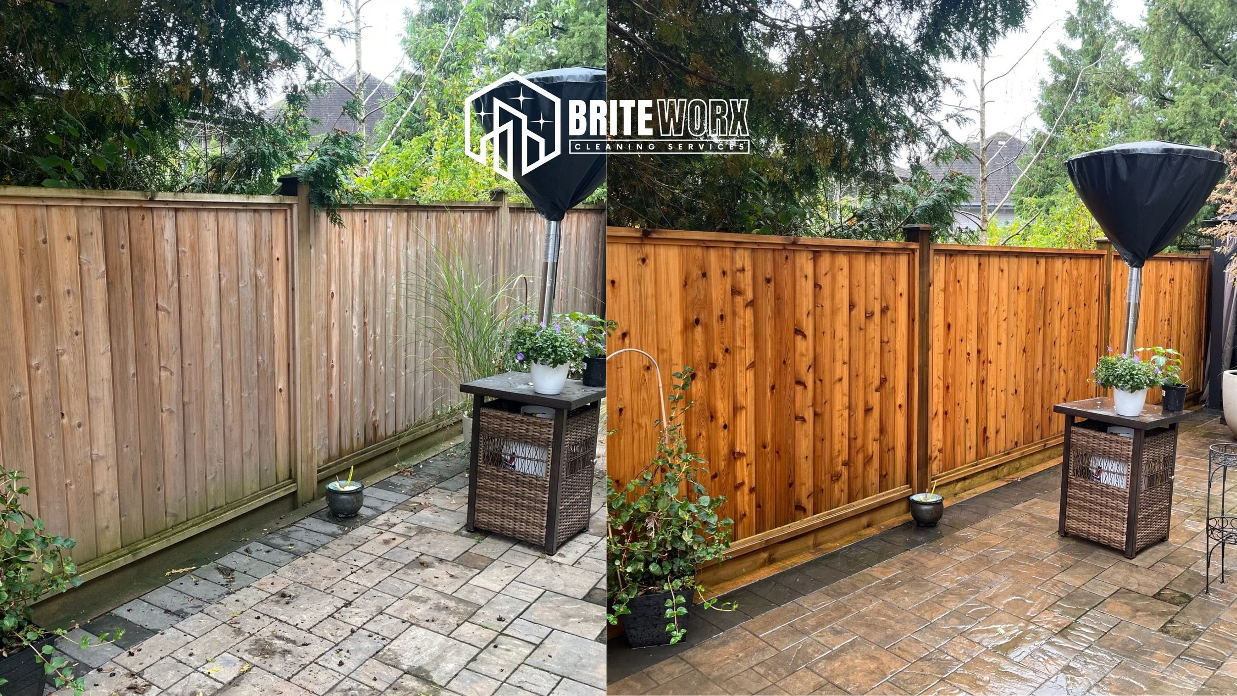 Fence Before Afters.jpg