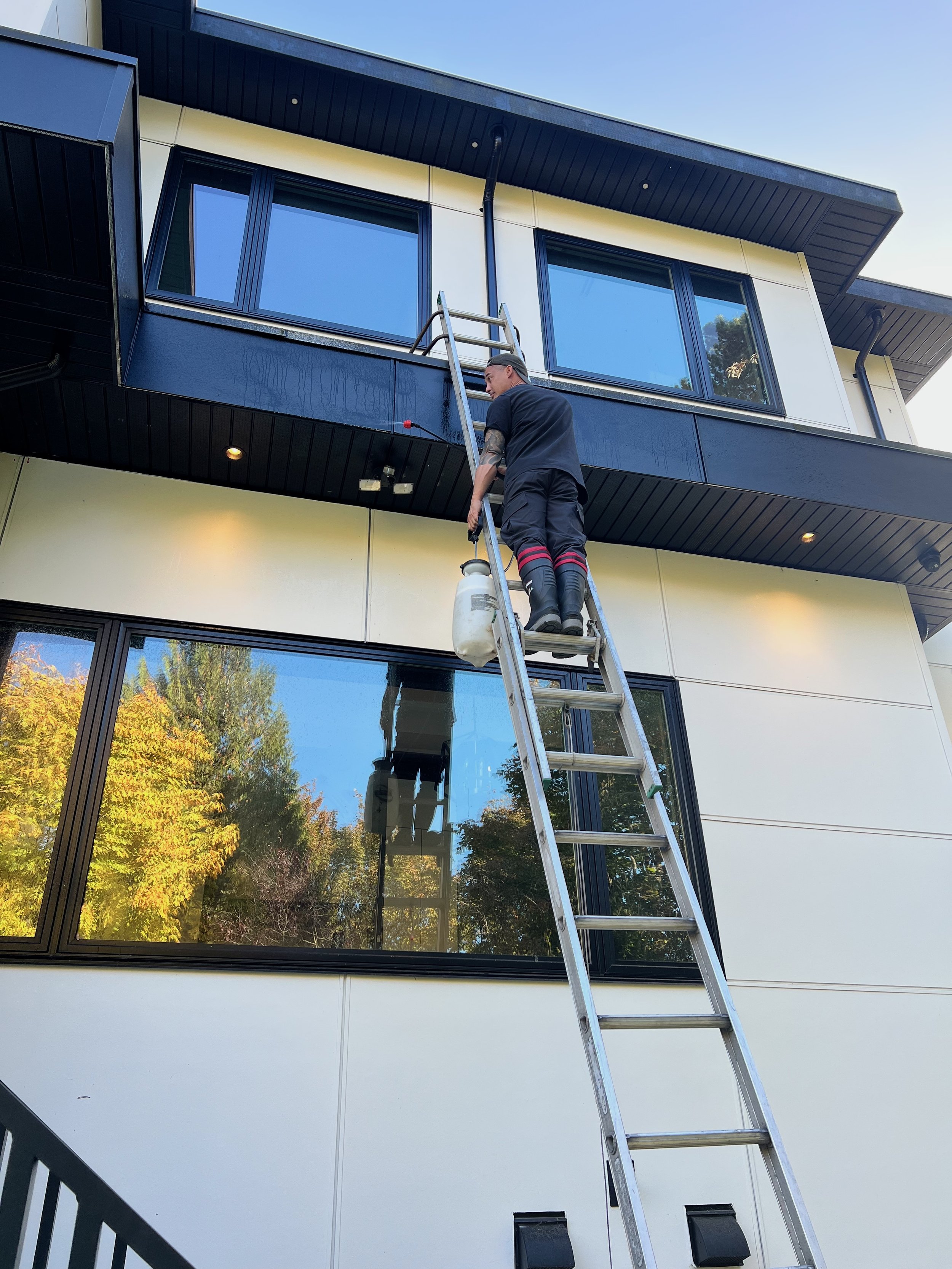 Man on a ladder spraying cleaning agents to the side of house