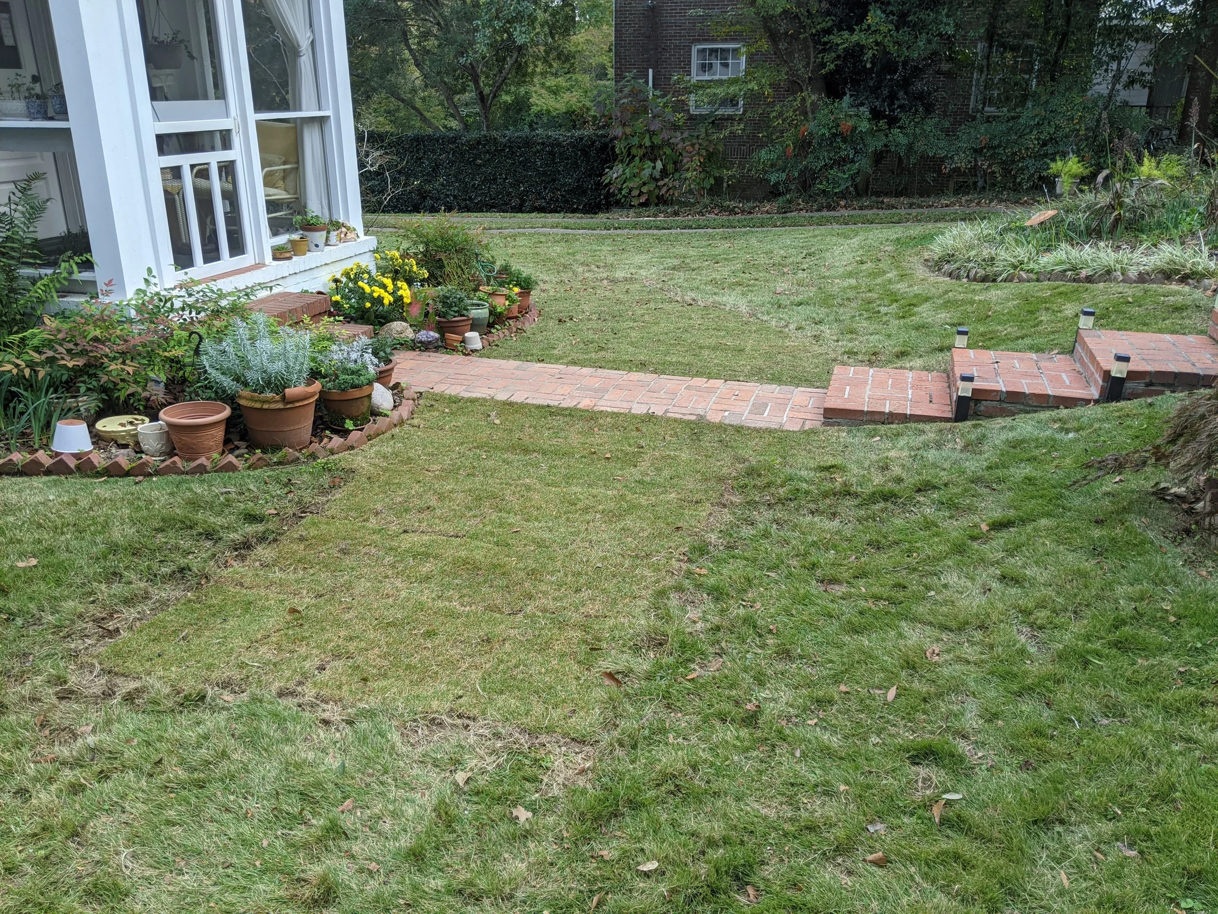 Precision sod replacement