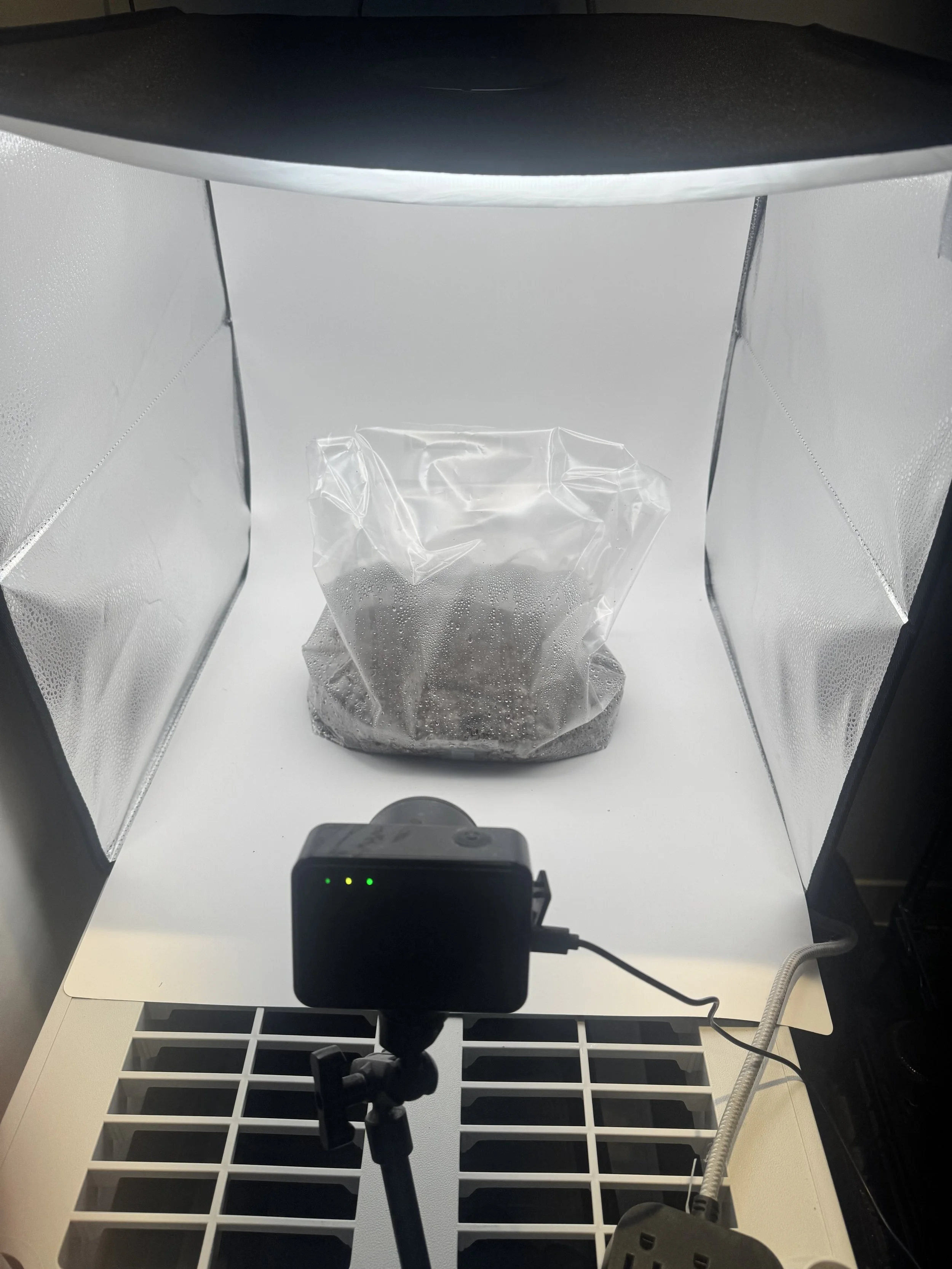 Inside a sterilization chamber with a plastic bag containing a small object, likely for sterilization, and a black device with green indicator lights in the foreground.