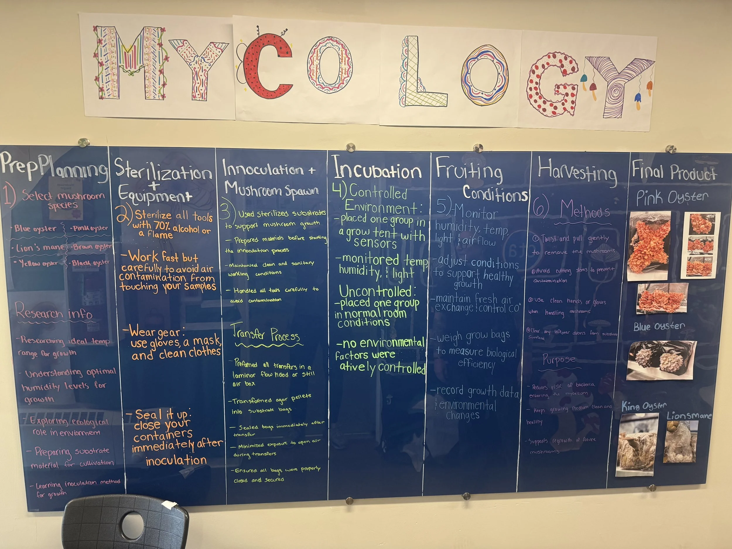 Educational poster with colorful text and instructions about mushroom cultivation, including steps like planning, sterilization, inoculation, incubation, fruiting, harvesting, and final product, along with images of pink oysters mushrooms.