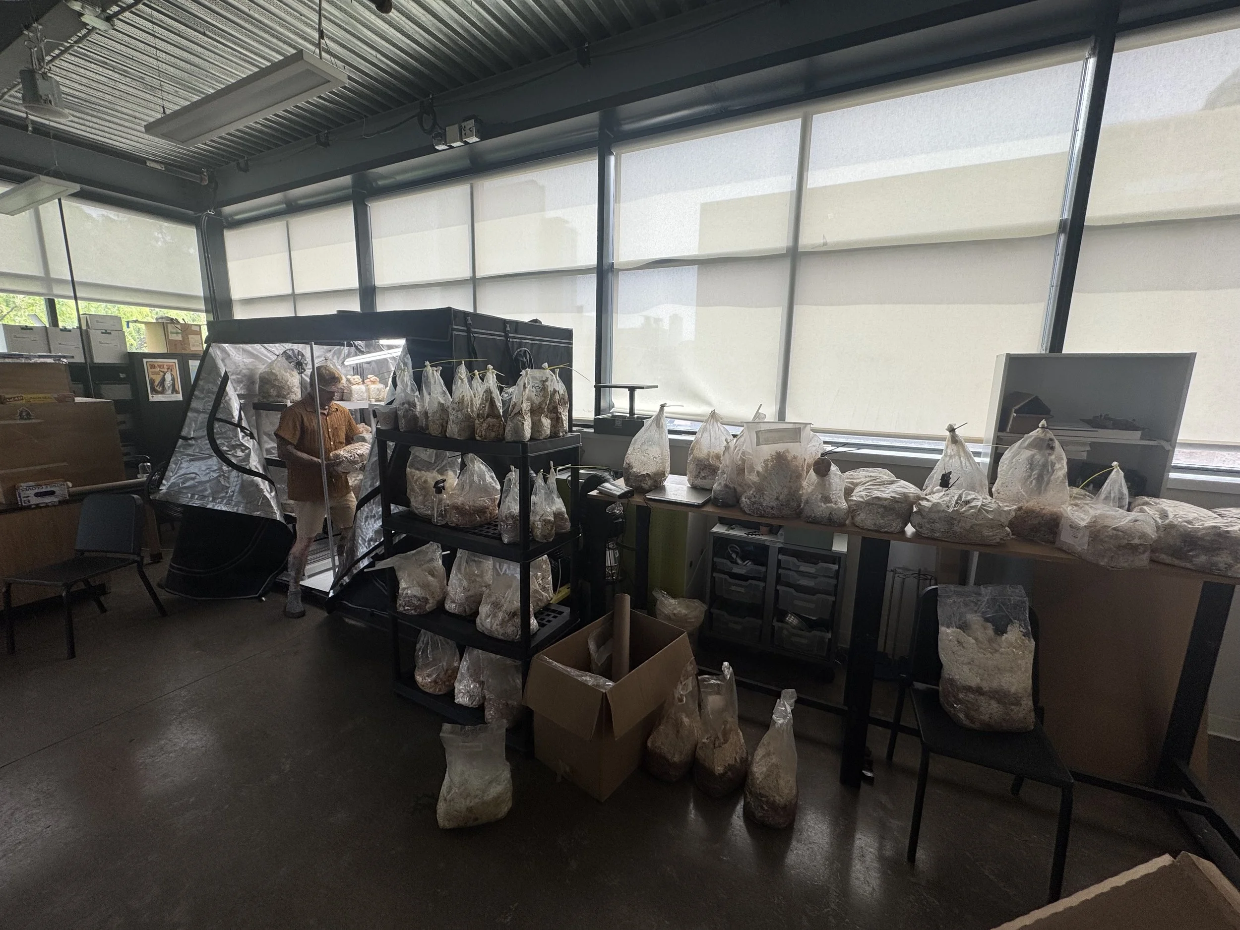 Indoor scene with shelves and tables filled with plastic bags containing rocks or minerals, a person inspecting items, and large windows in the background.