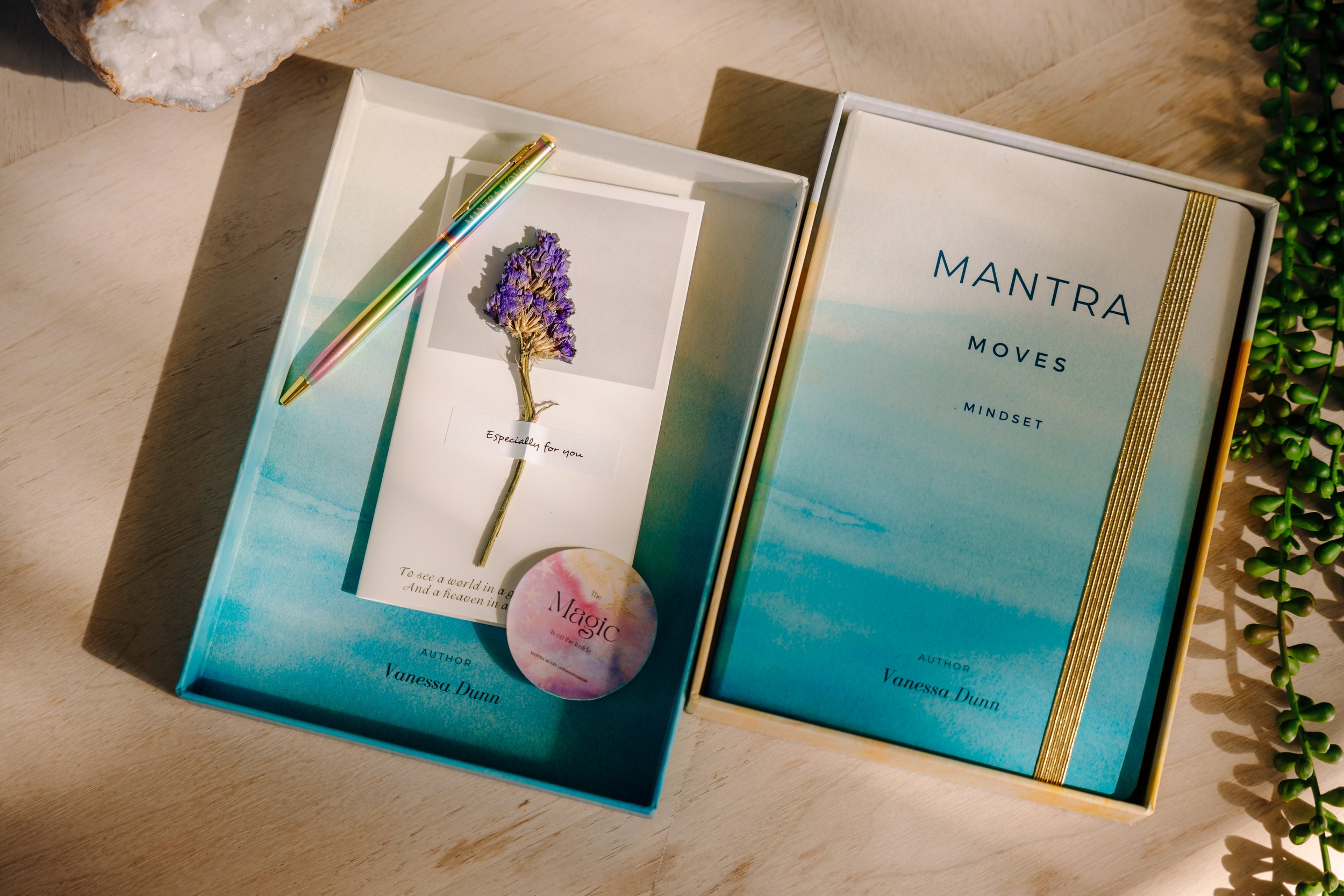 Mantra Moves named top in wellness
