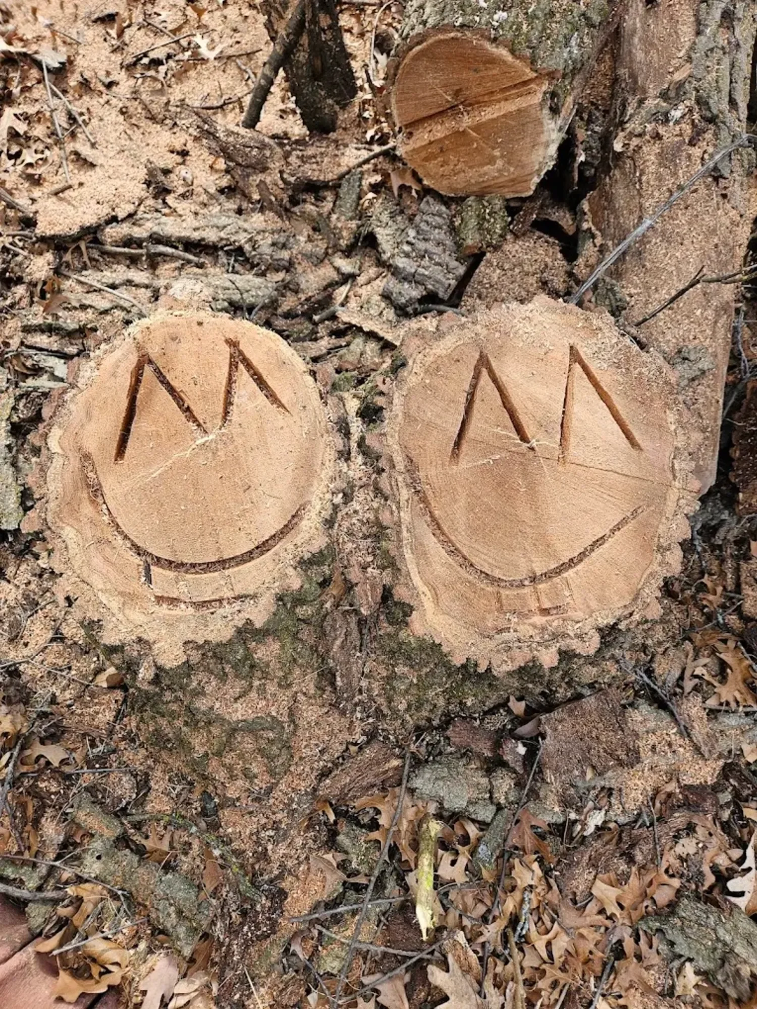 Two tree trunks cut into rounds with smiley faces and the letter 'M' carved into the wood, sitting on the forest ground with leaves and wood debris.