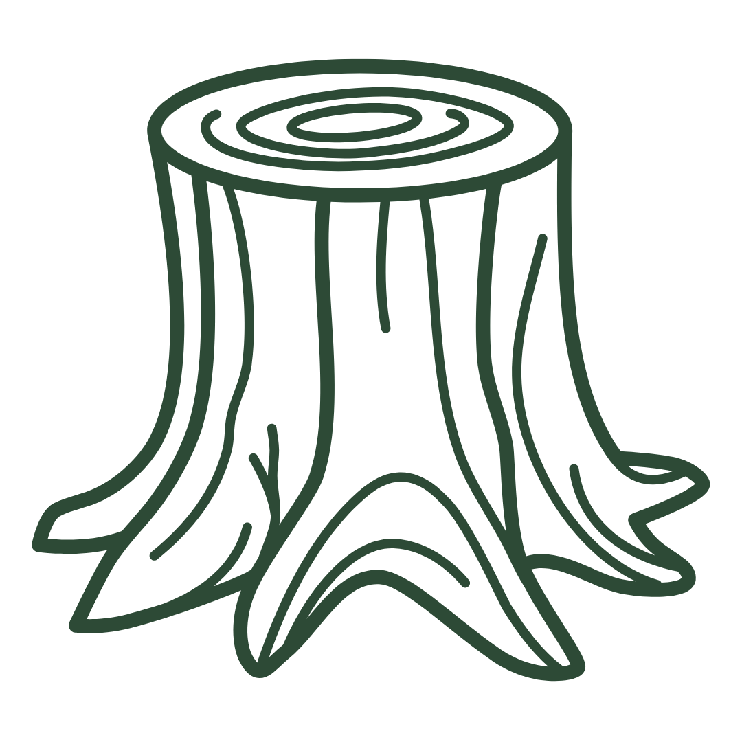 Line drawing of a tree stump with roots and rings on the top.