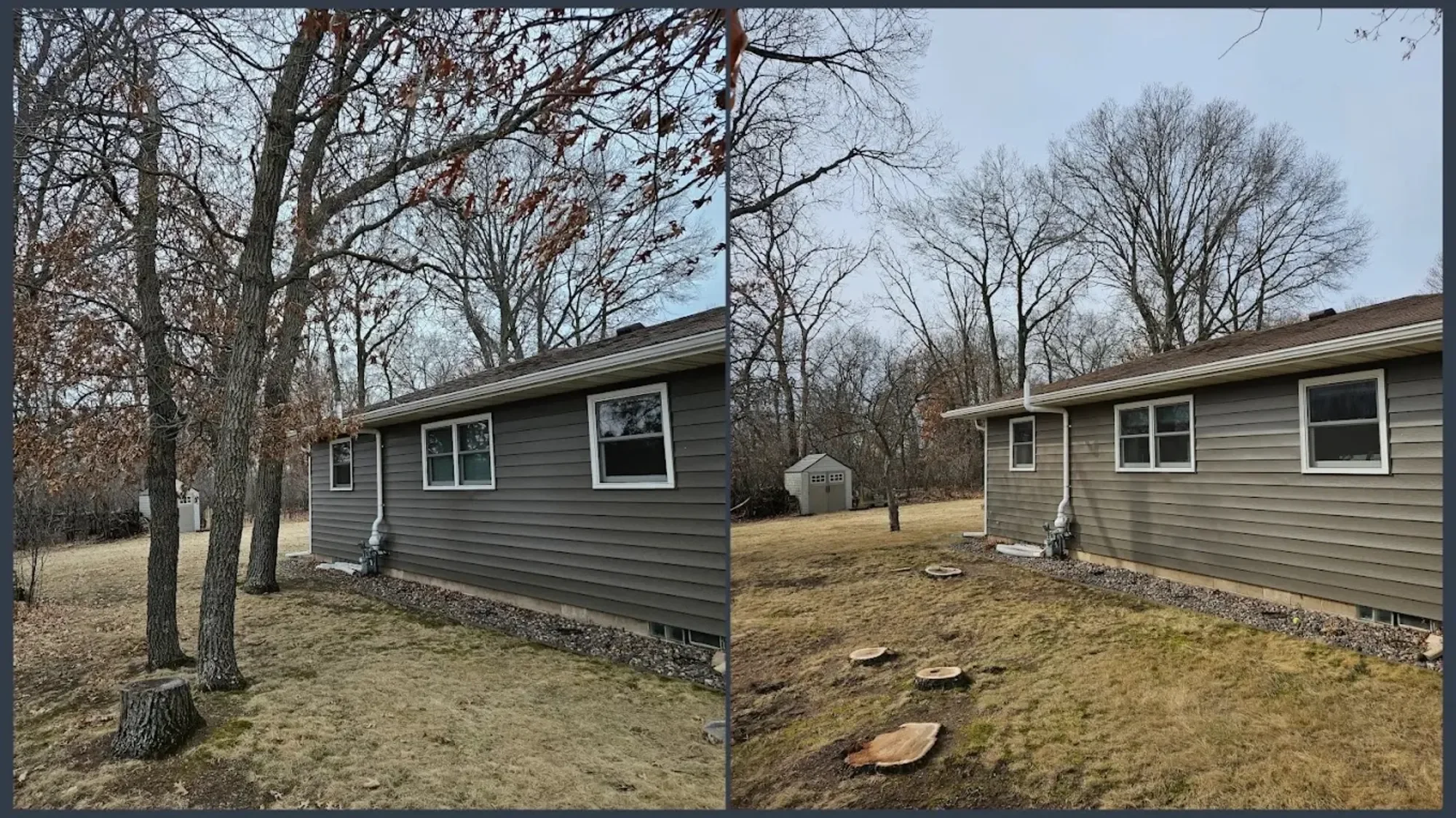 Comparison of a backyard with trees, grass, and house siding before and after tree trimming showing fewer branches on the trees.