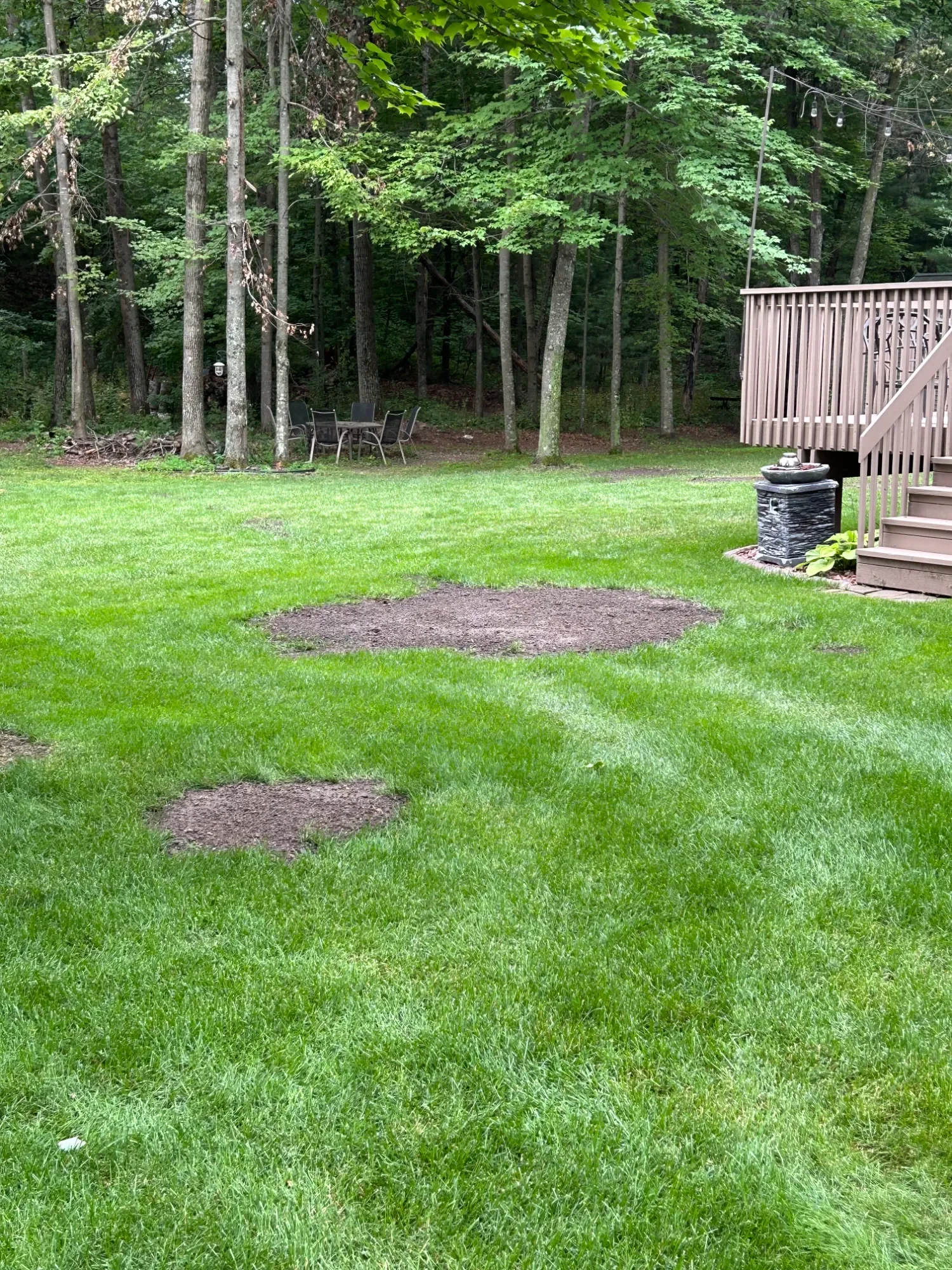 Backyard with green grass, two patches of soil, a wooden deck with stairs, a small water fountain, and a wooded area with trees and outdoor furniture.