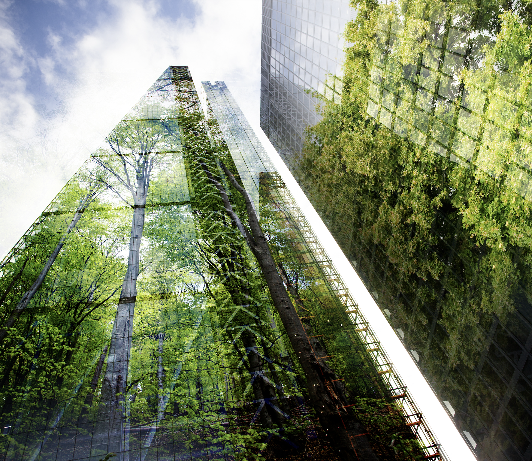 Environmental Law in a Shifting Regulatory Landscape: How HRMM&amp;L Supports Clients Through Complexity