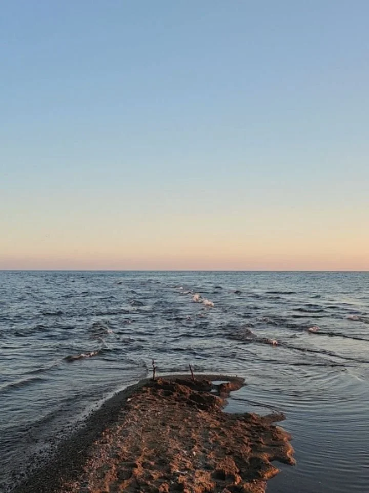 The art of noticing at @pointpeleenationalparkcanada 

What did you notice?