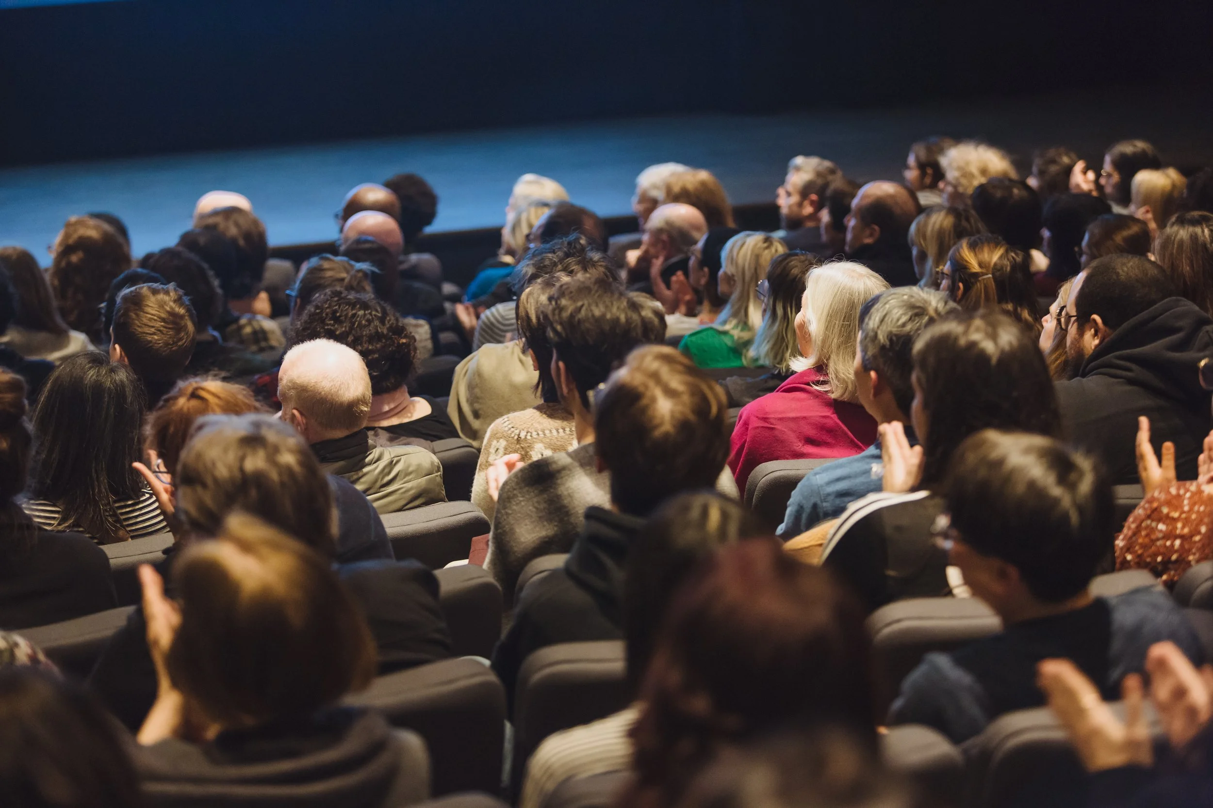 Audience watching a presentation in a theater or auditorium.