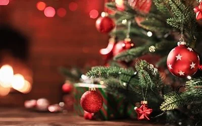 CHRISTMAS WISHES AND END OF YEAR NEWS ROUND UP