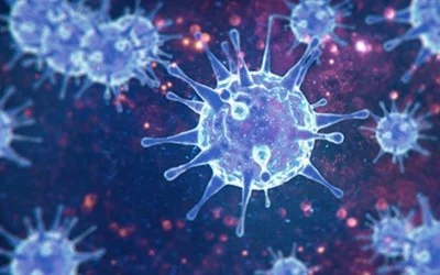 CORONAVIRUS UPDATE - CONTACT DETAILS