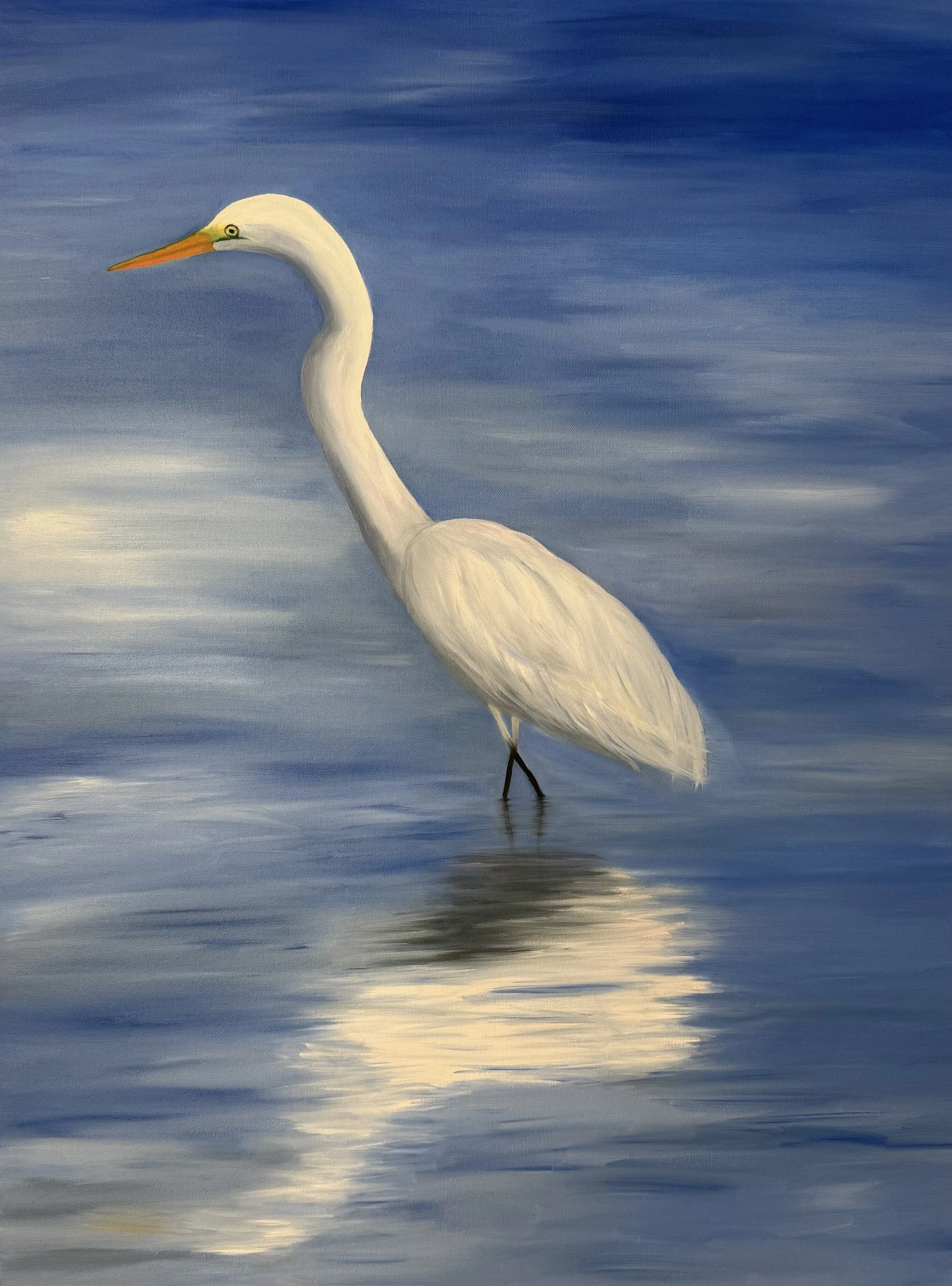 Egret in Water