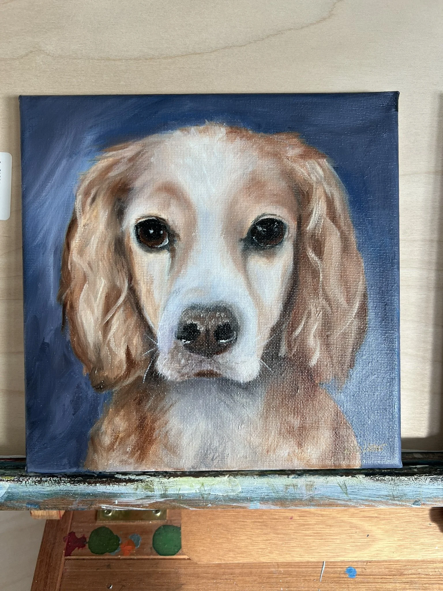 Painting of a dog, possibly a retriever, with brown ears and face, looking directly forward, set against a blue background.