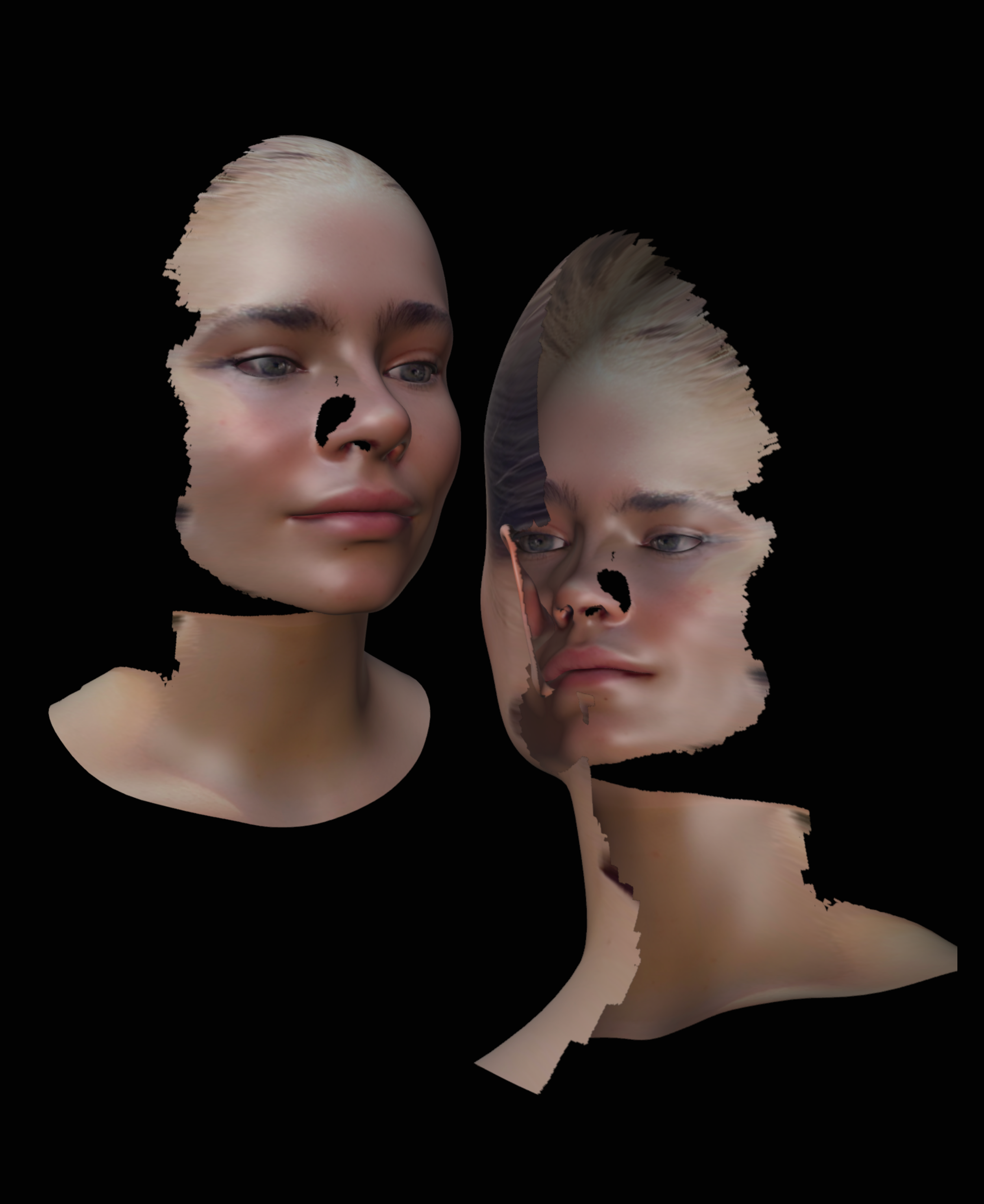 Image of the final artwork, which shows two 3D female faces, fragmented and hollow, with pale skin, brown hair, and light eyes, set against a black background.