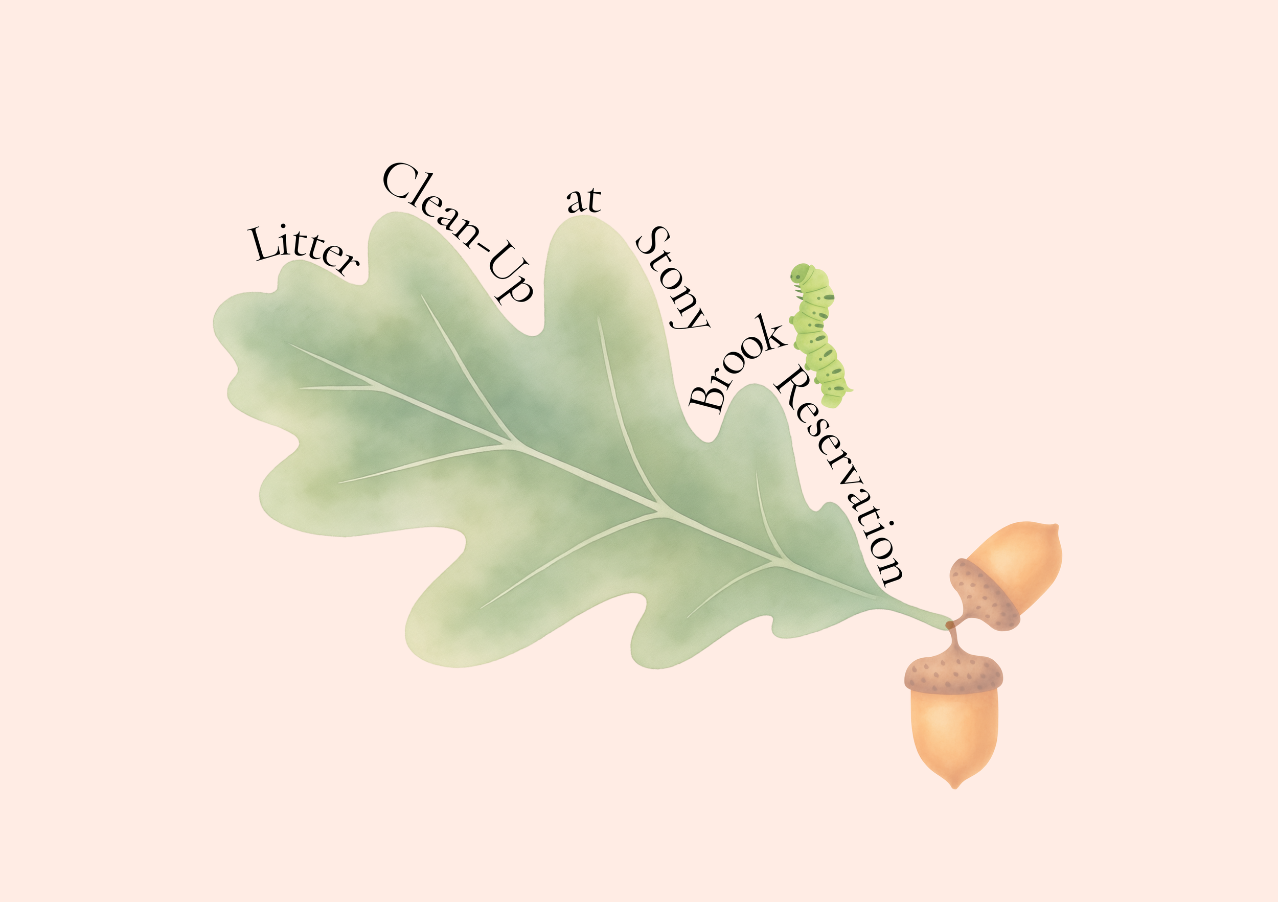 Stony Brook Reservation Litter Clean-Up (Second Day)