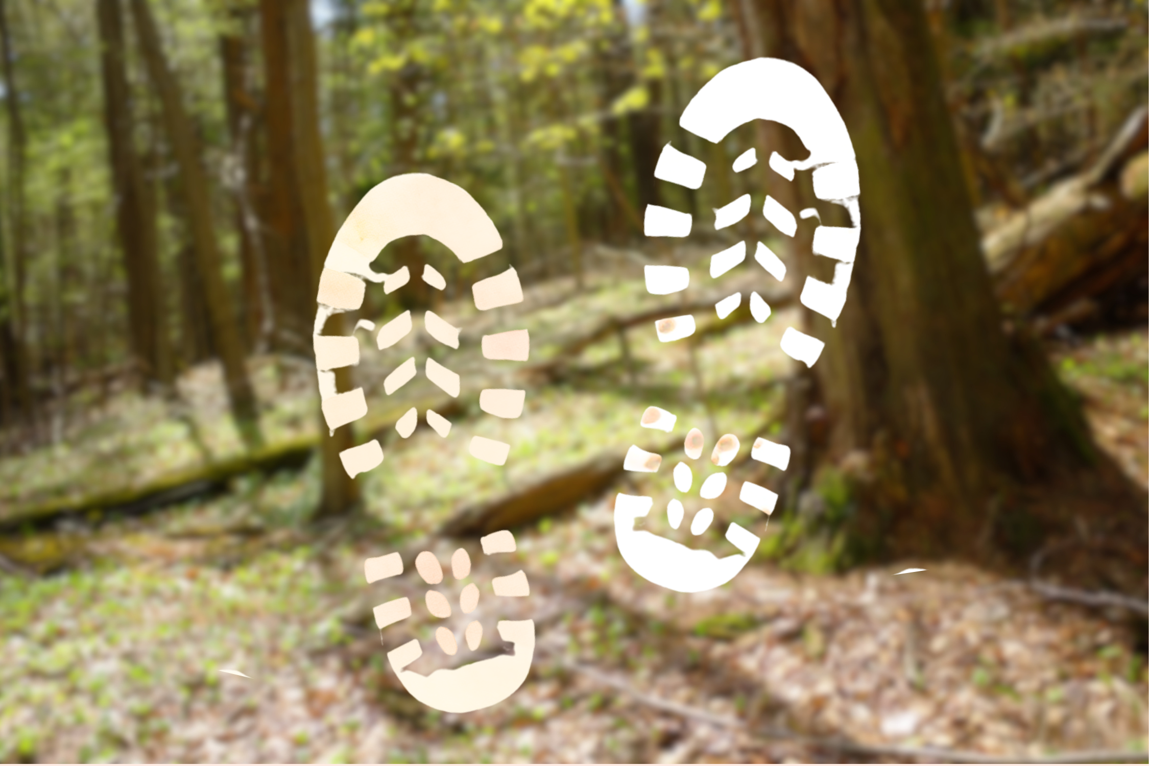 Nature Walk at Stony Brook Reservation