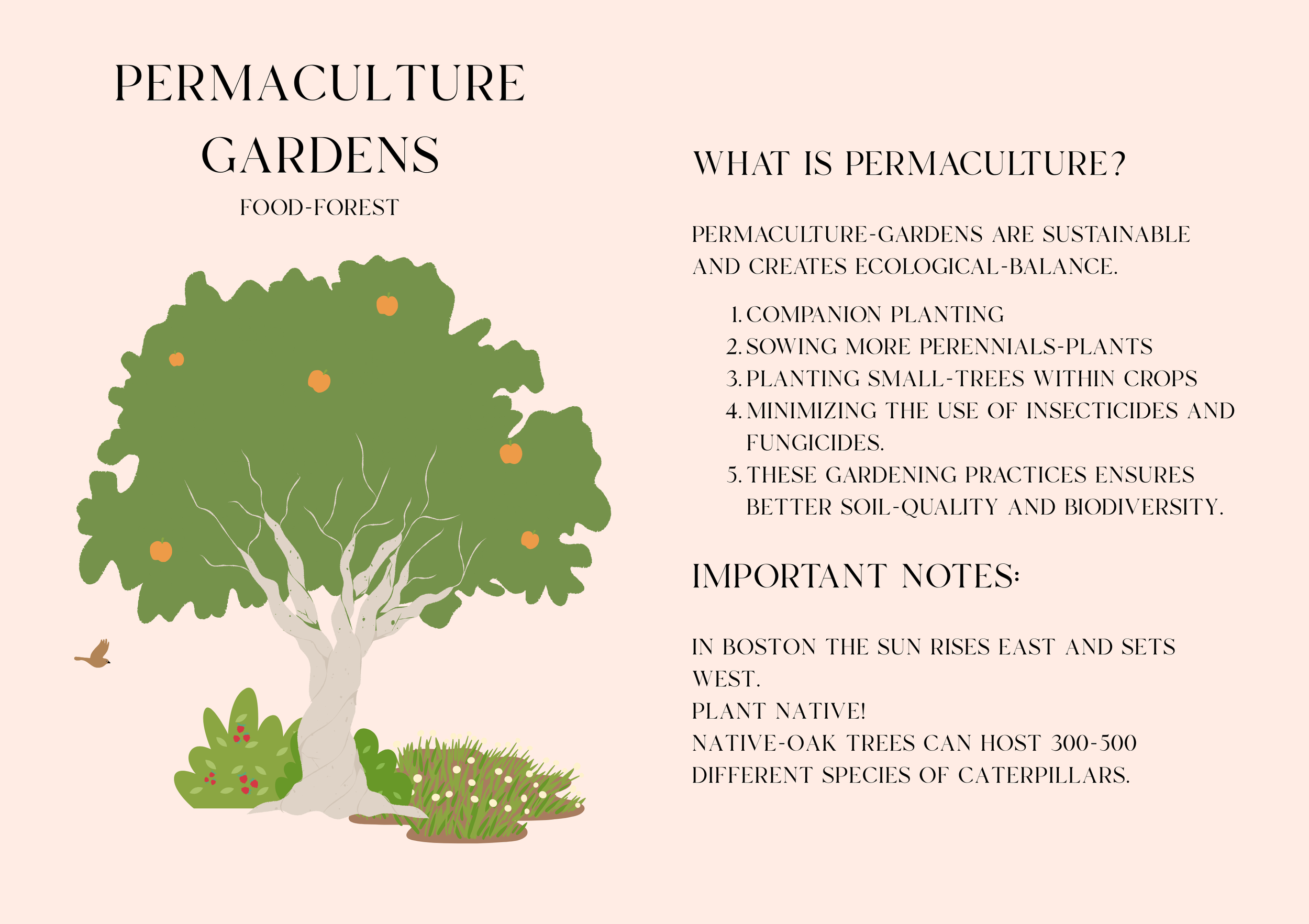 permaculture.png
