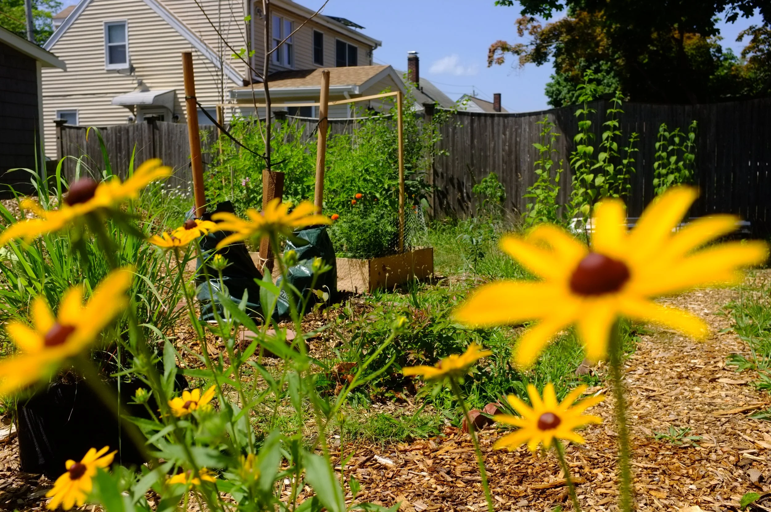 Gardening for Empathy