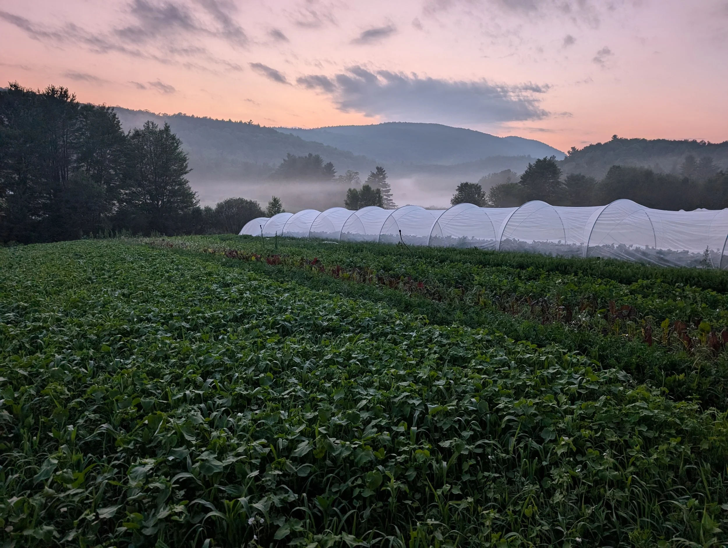 PXL_20250728_004257379 (1).jpg