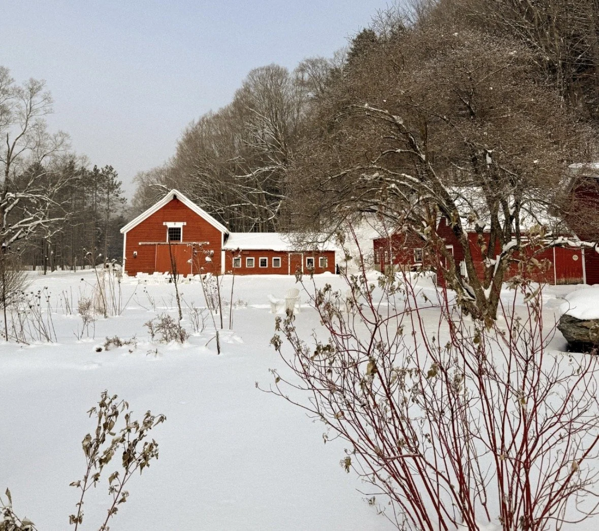 5 winter outings in and around bristol, vermont