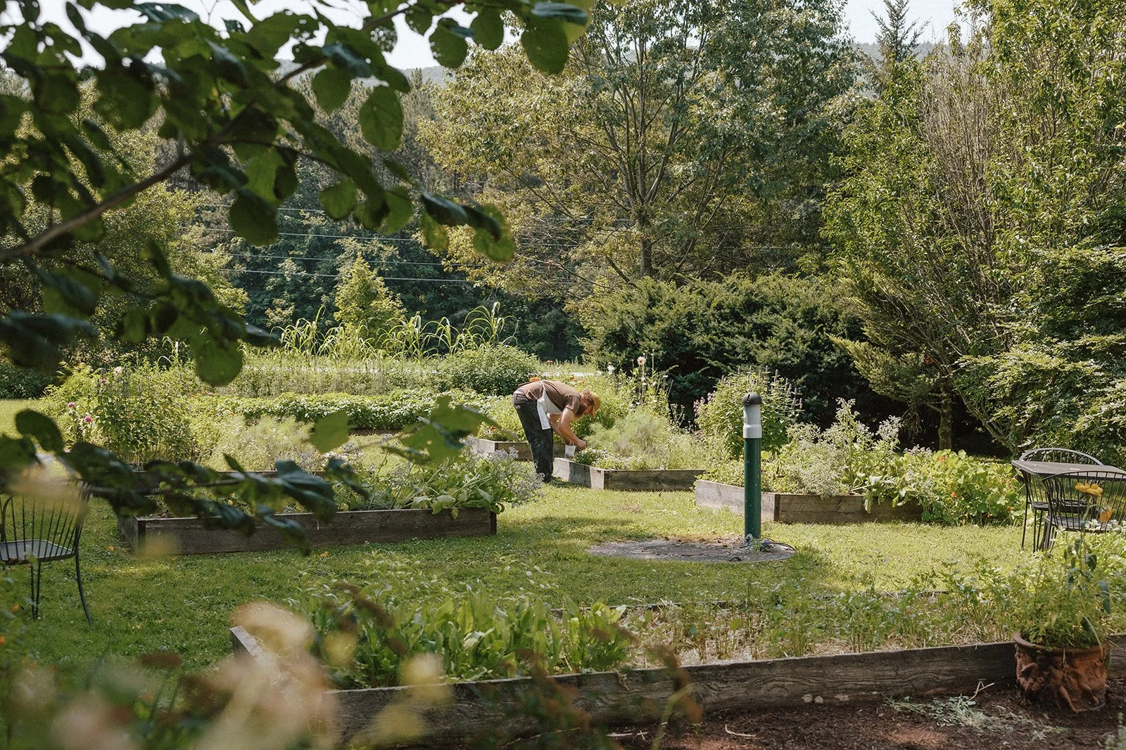 planning the tillerman kitchen garden