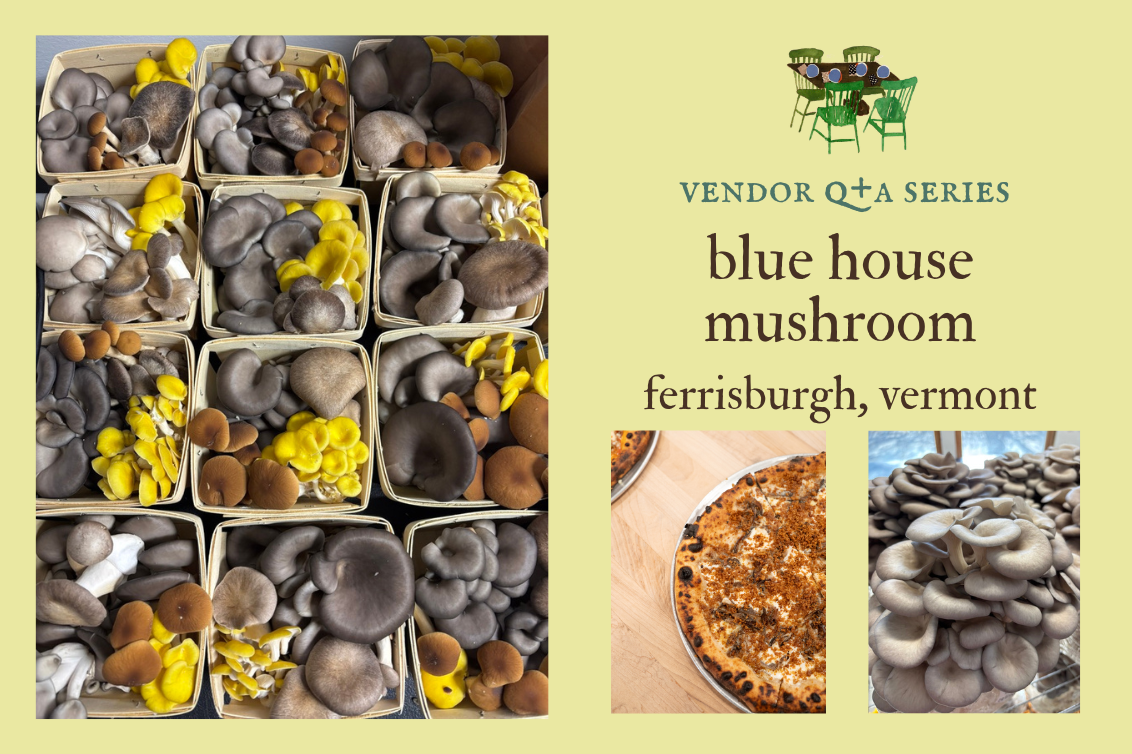 farm feature: blue house mushroom