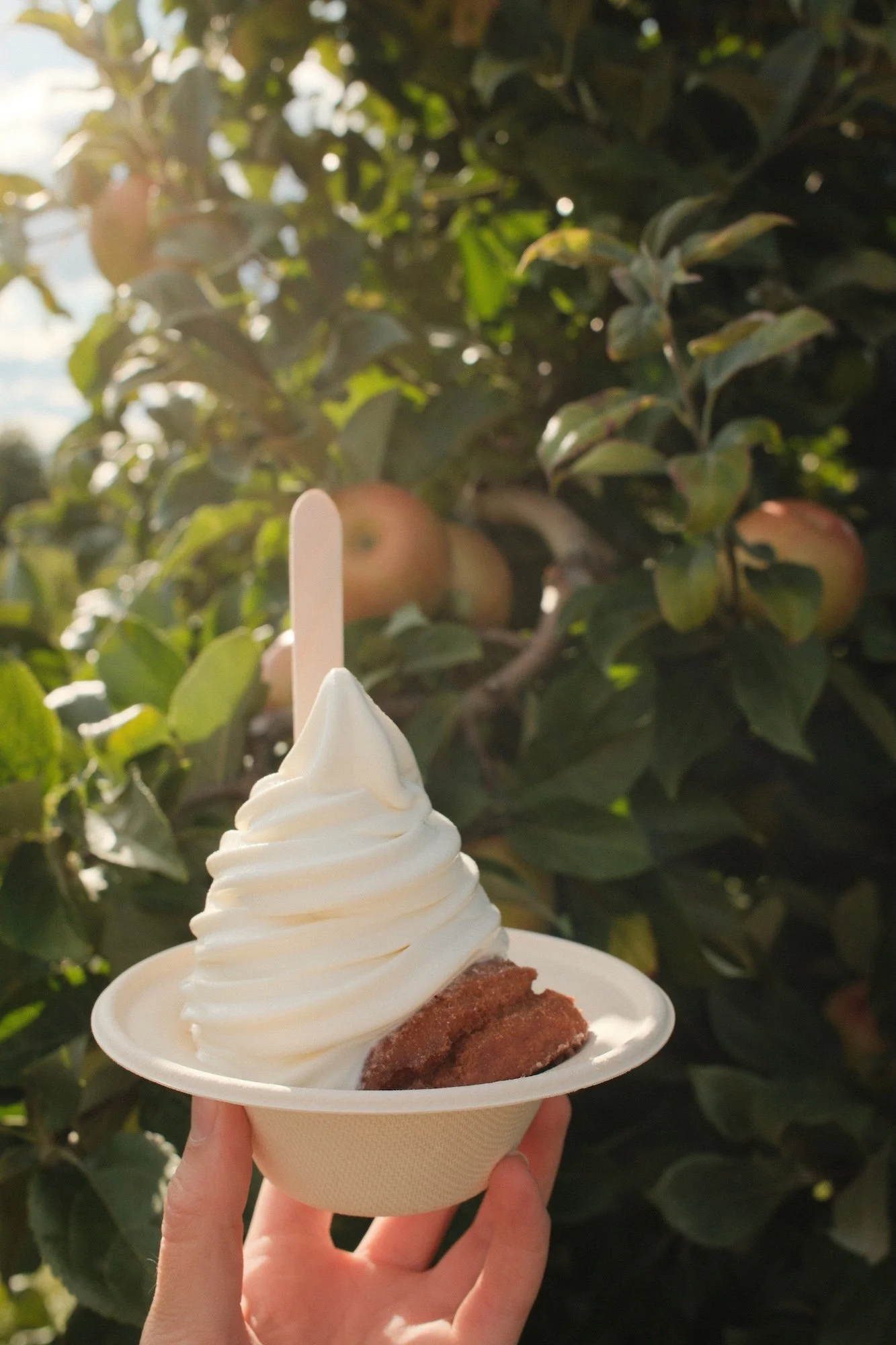 a vermont creemee with cider donut at yates apple orchard