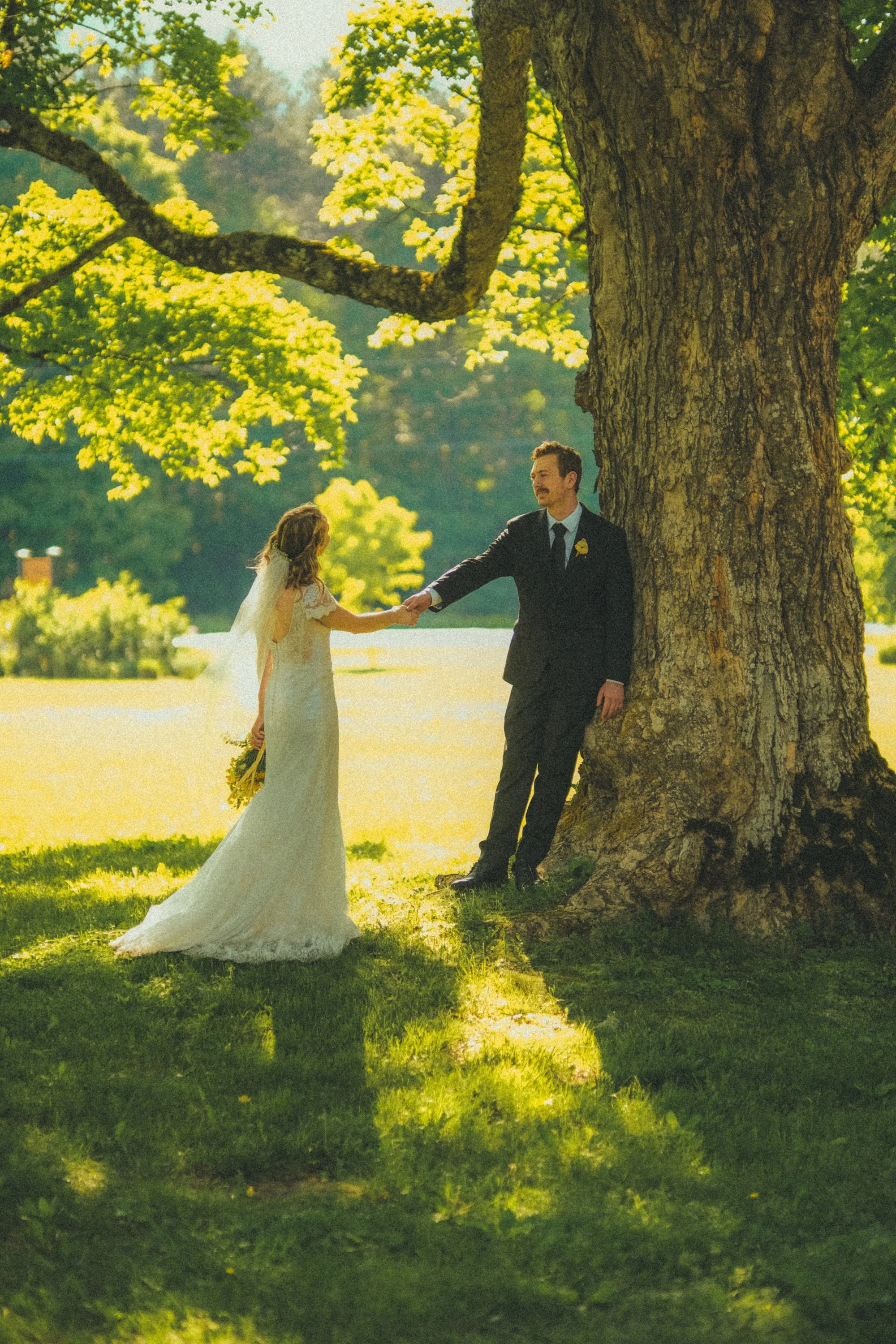 a couple holds hands under an old tree during golden hour on their wedding day.