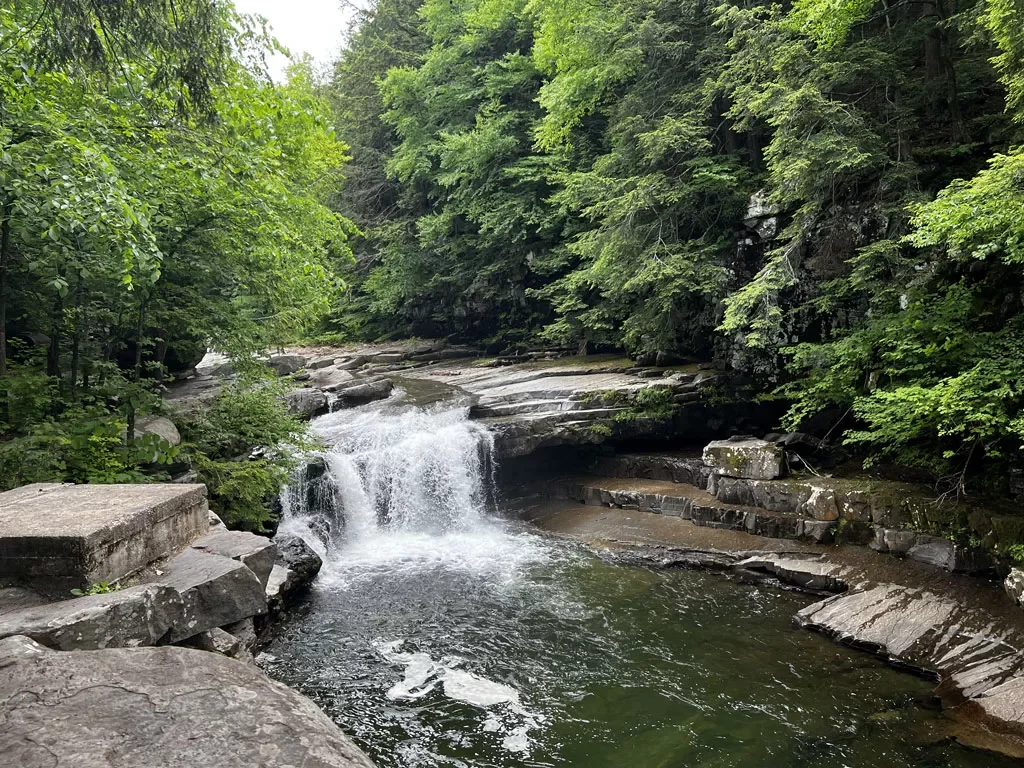 photo by Ian Dartley of bristol falls- a serene swimming hole surrounded by lush trees in the green mountains. 