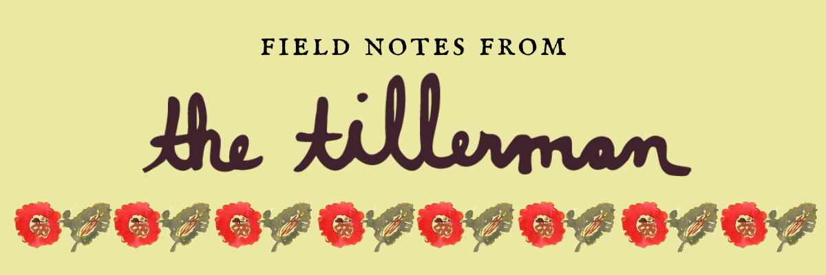 Book cover titled 'Field Notes from the Hillerman' with decorative flowers along the bottom.