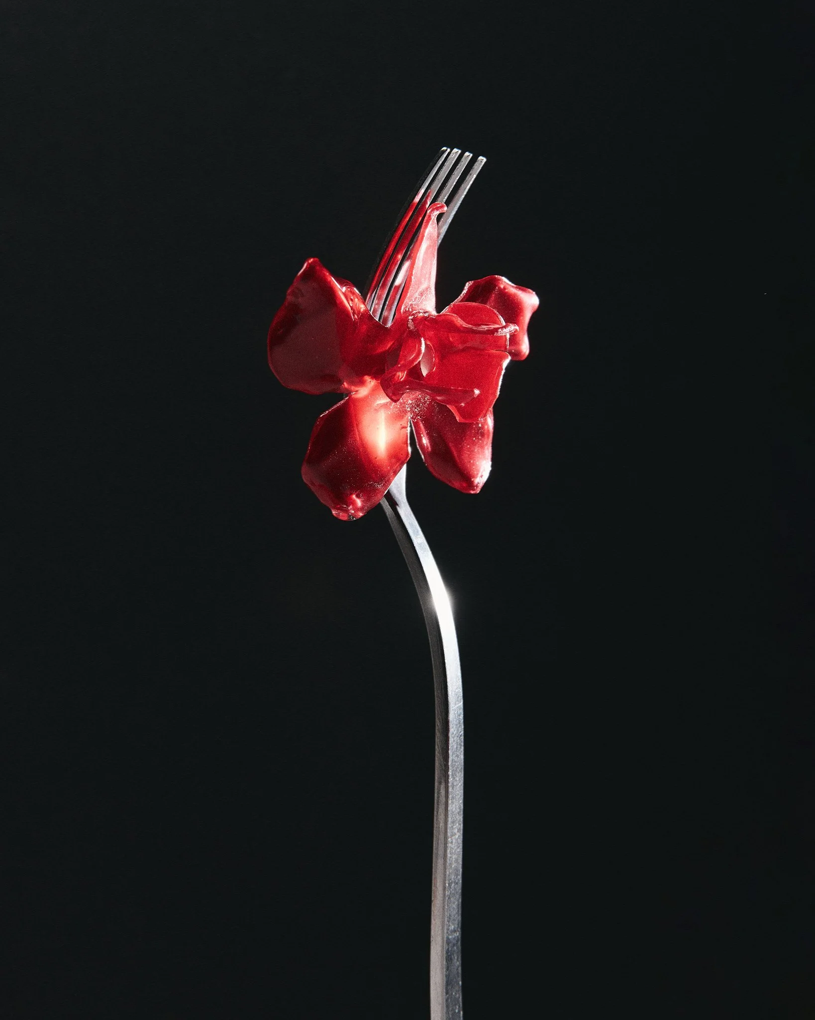 STILL LIFE0940 1.jpg