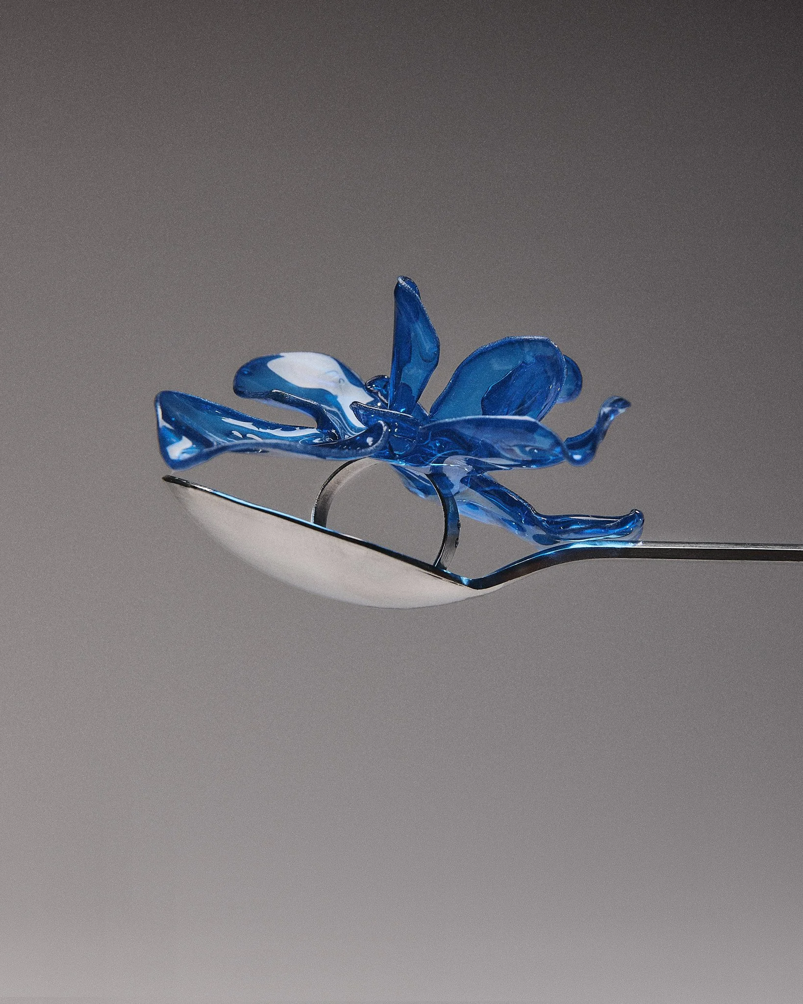 STILL LIFE0980 1.jpg