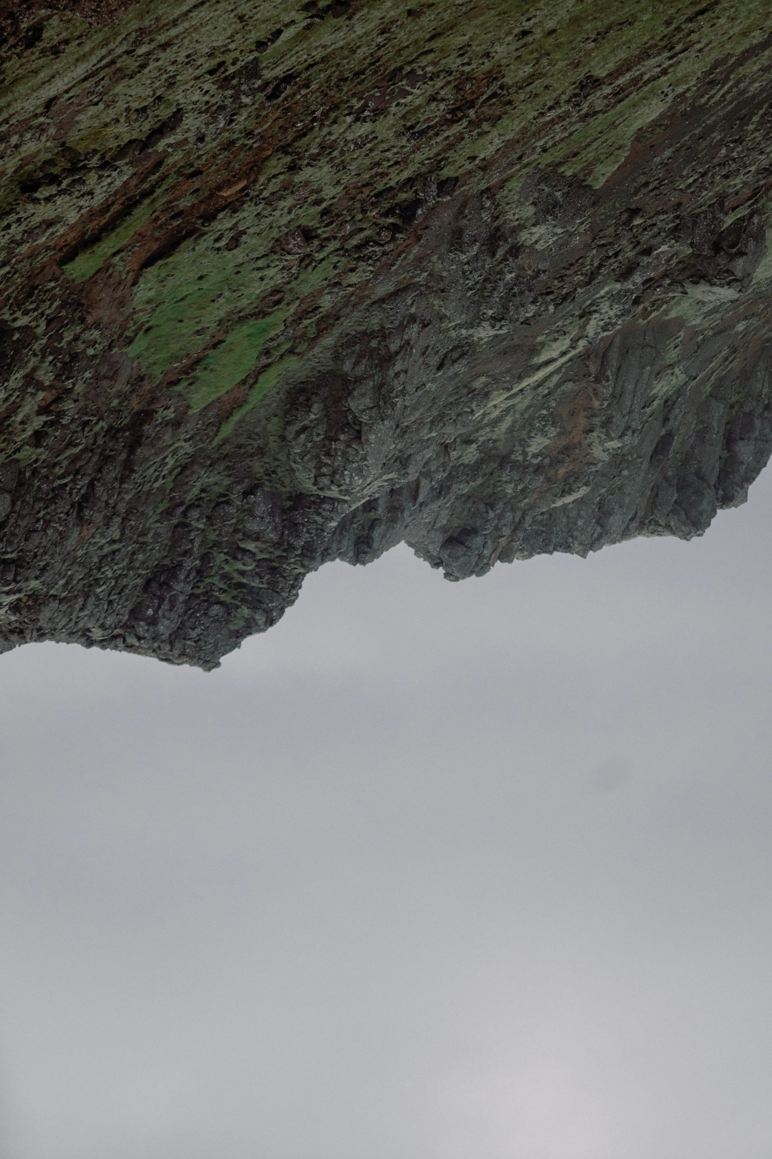 Fresh Wind Fresh Fire