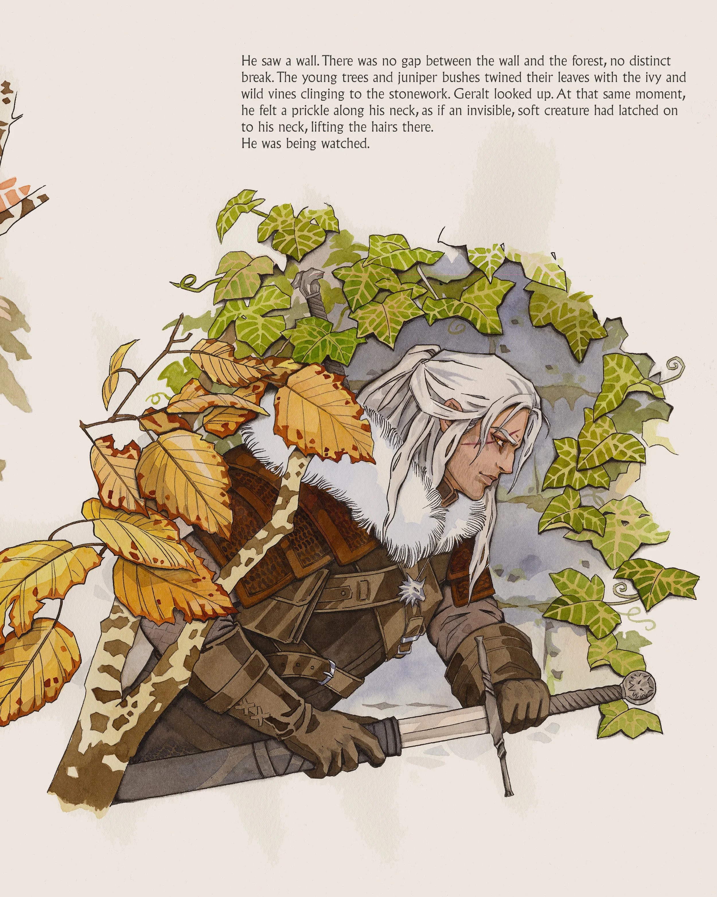 a2.jpg