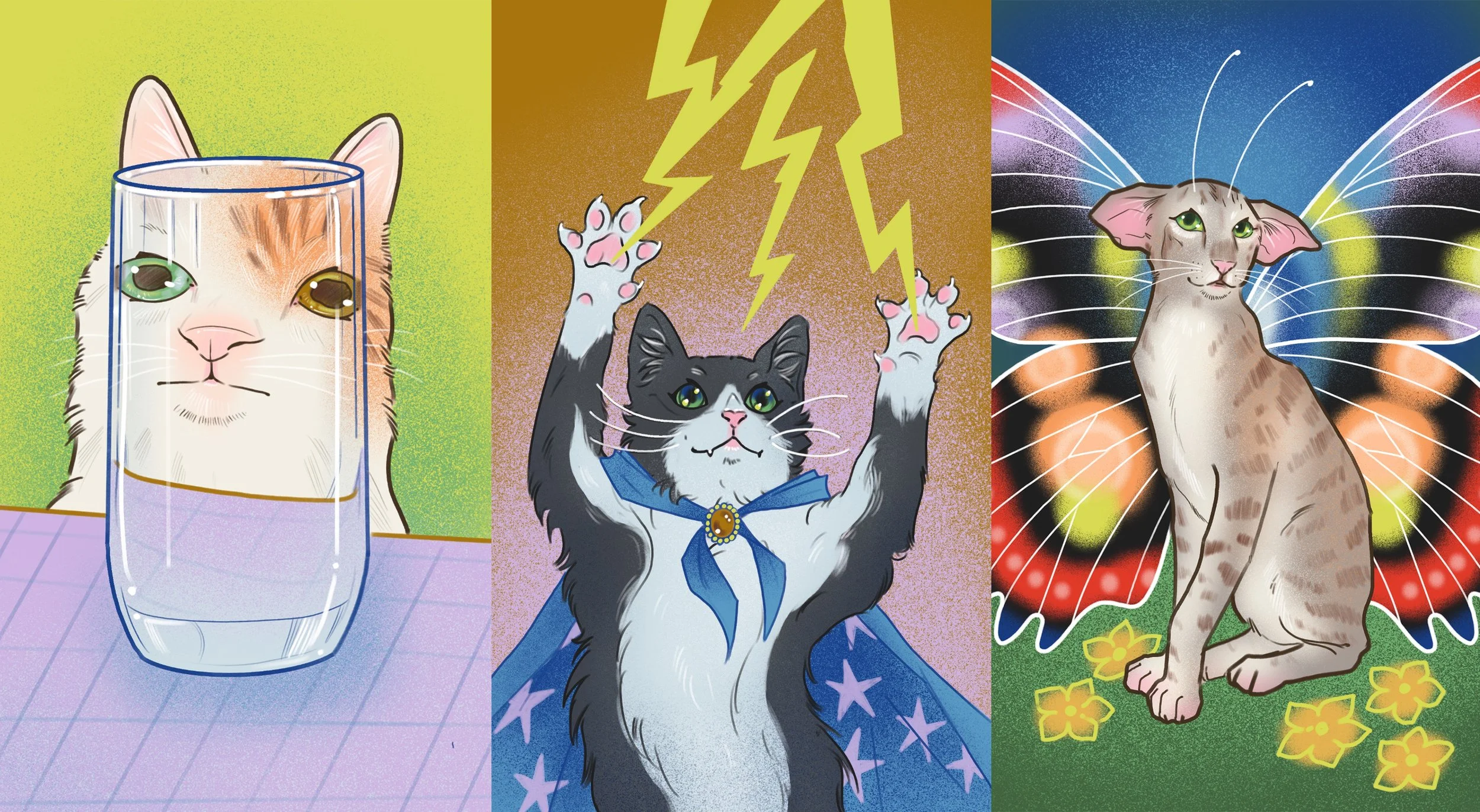 Screenshot 2026-02-21 at 9.29.08 AM copy.jpg