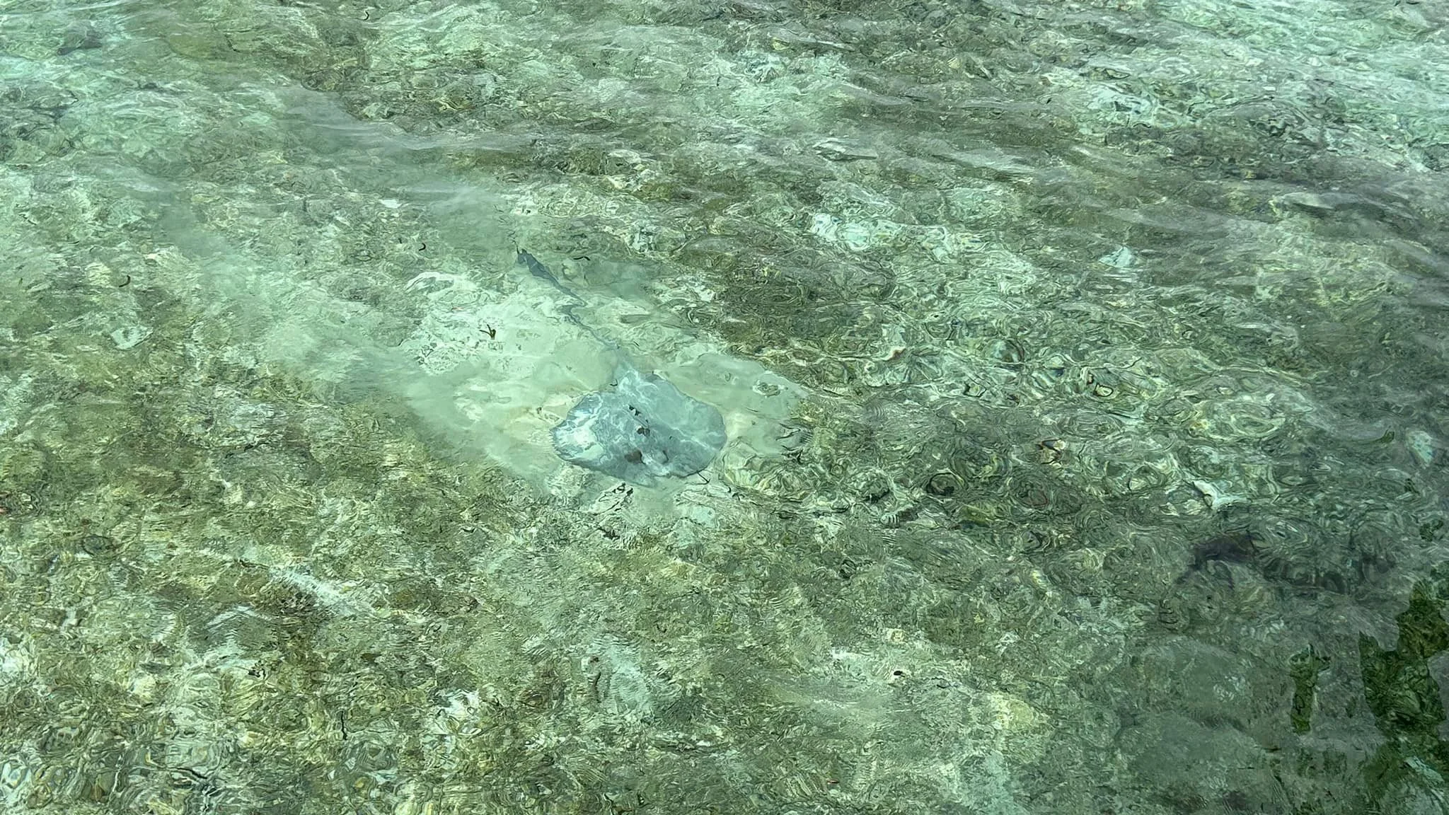 Maldives 2.jpg