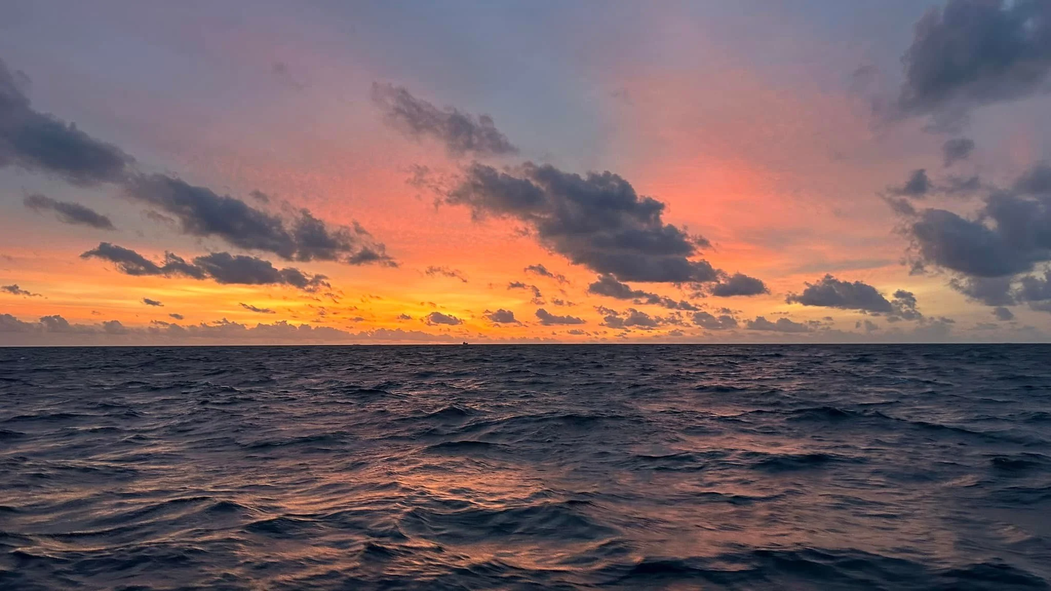 Maldives: The Journey as Fun as the Destination