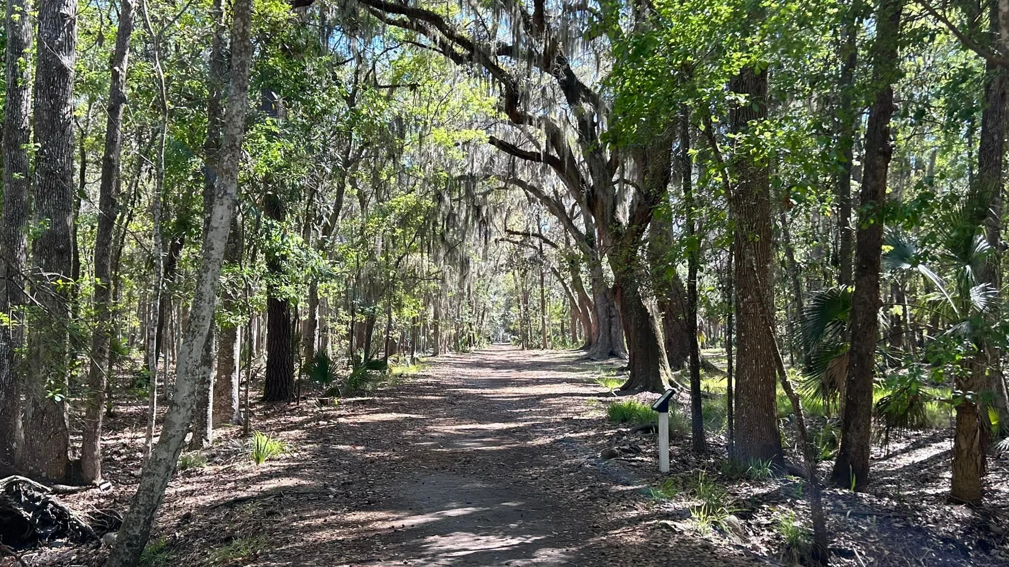 Savannah: Charm to the Nth Degree