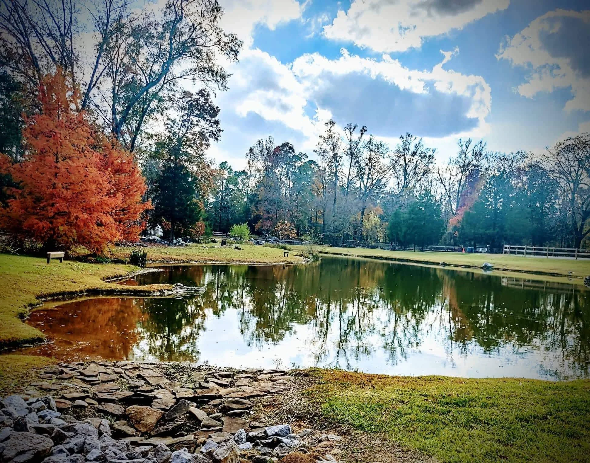 Front pond.jpg